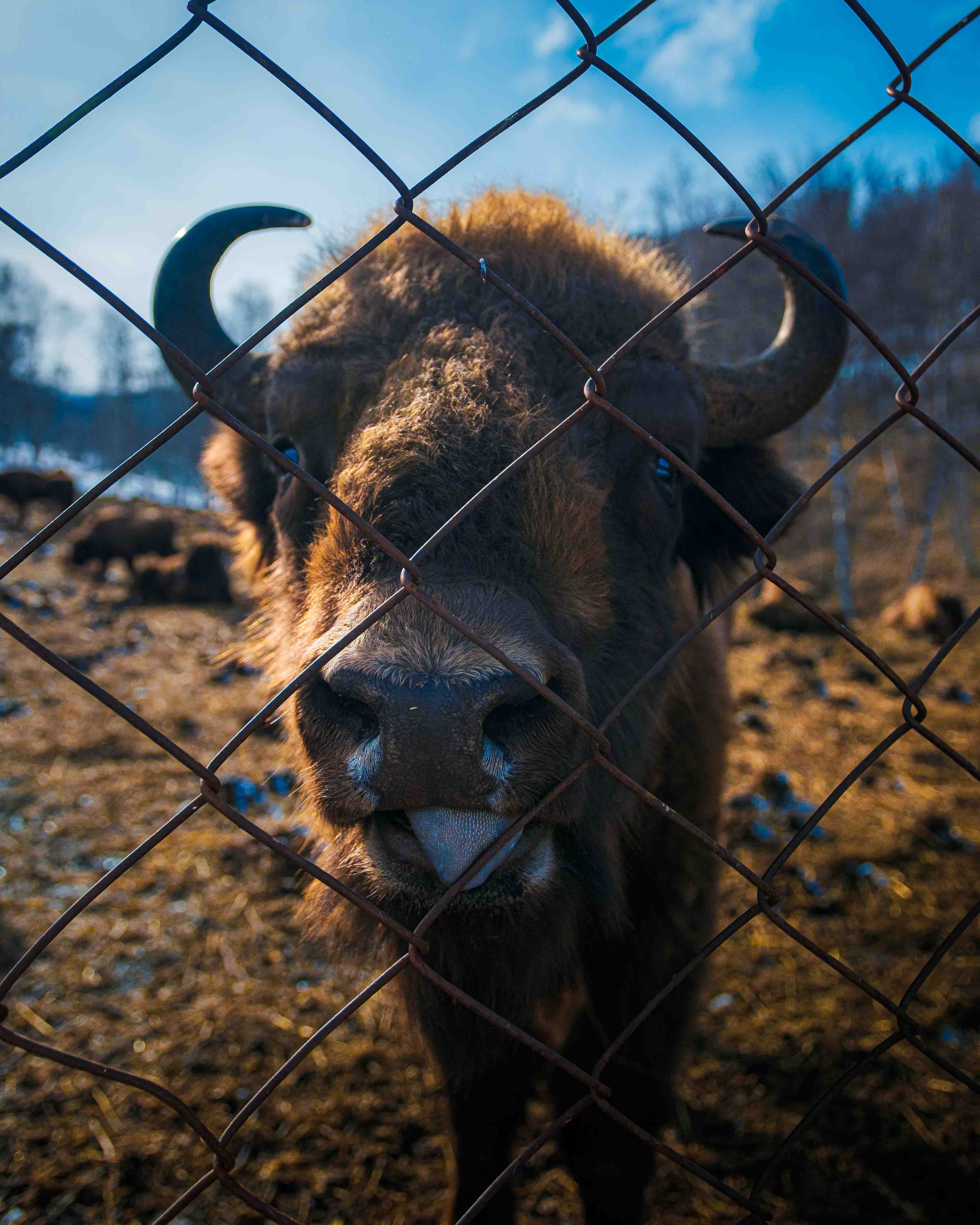Глубокая Осень На Алтае (18/43)