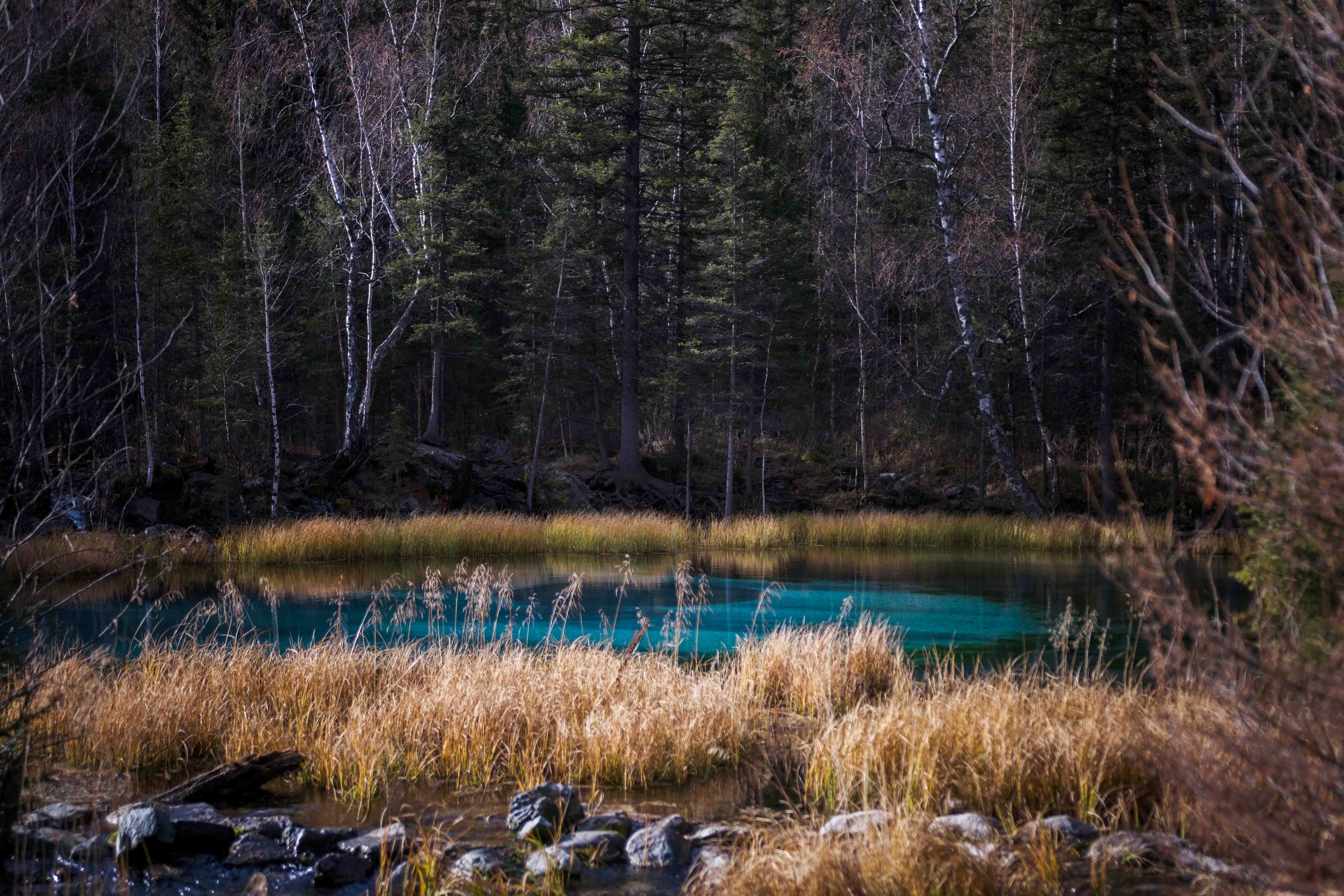 Глубокая Осень На Алтае (21/43)