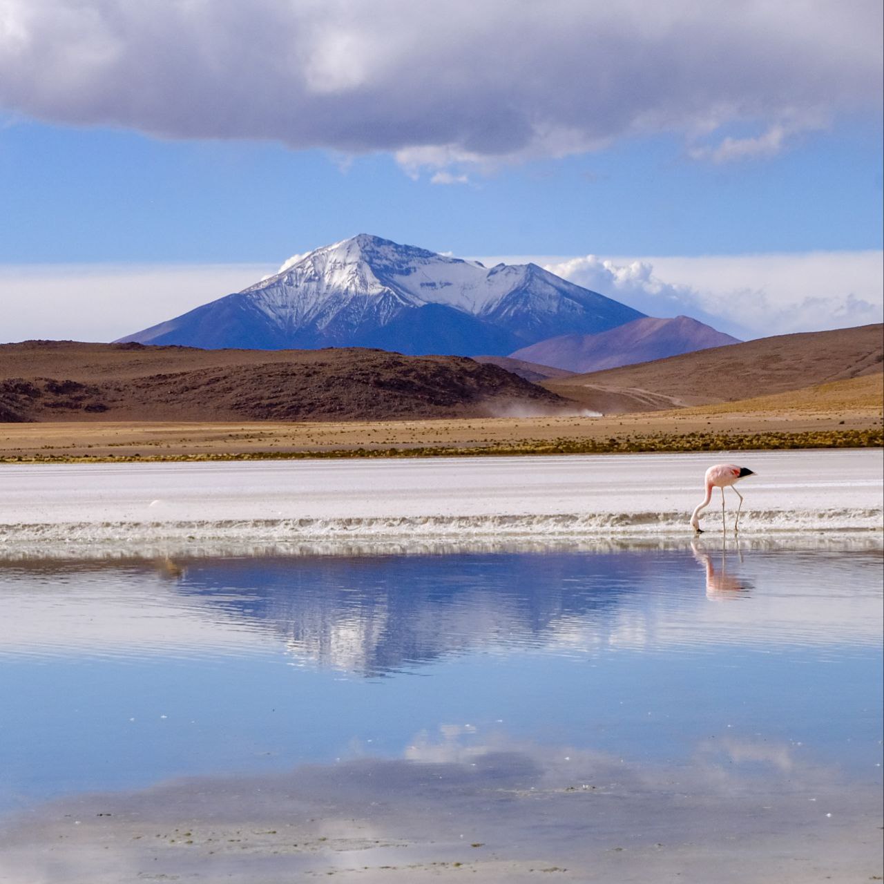 Перу, Боливия, Чили. Большое путешествие по Южной Америке