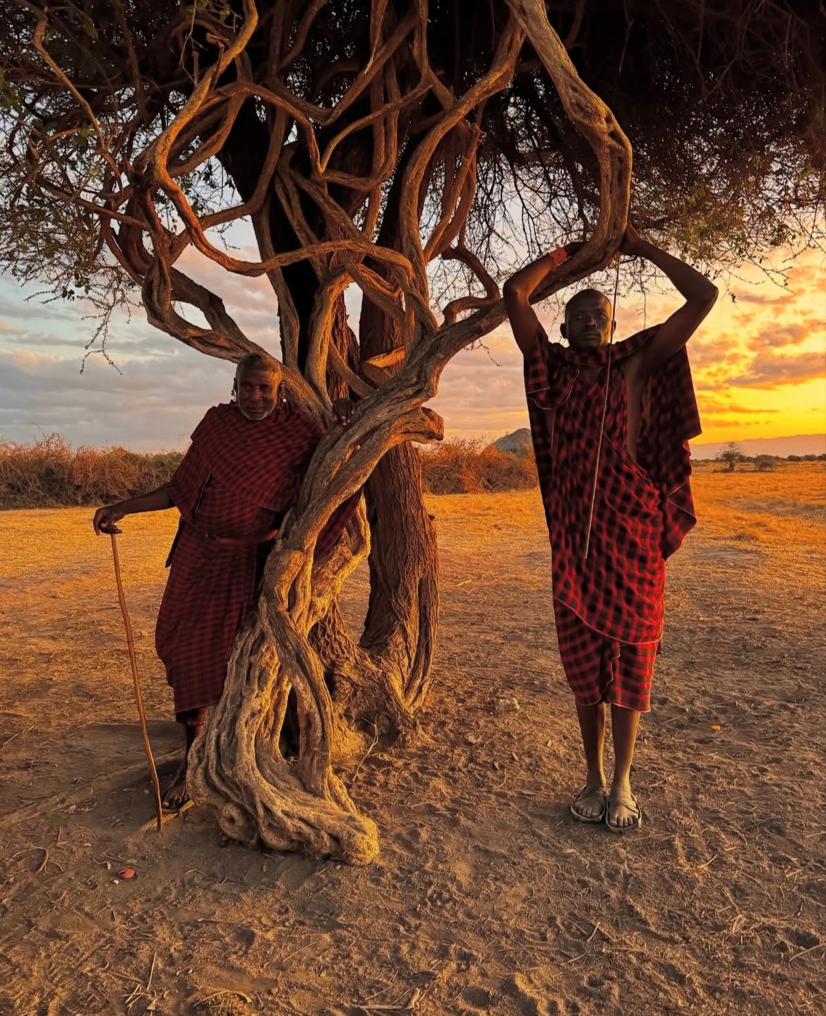 Почувствовать вайб Кении: Африканский ритм,океан и сафари