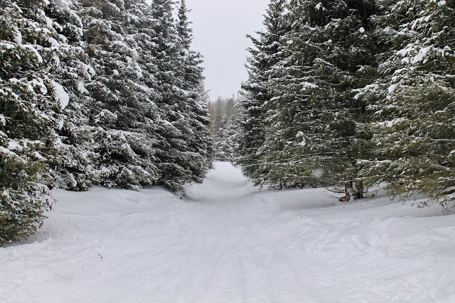 Финальный фрирайд - фольклорное шоу