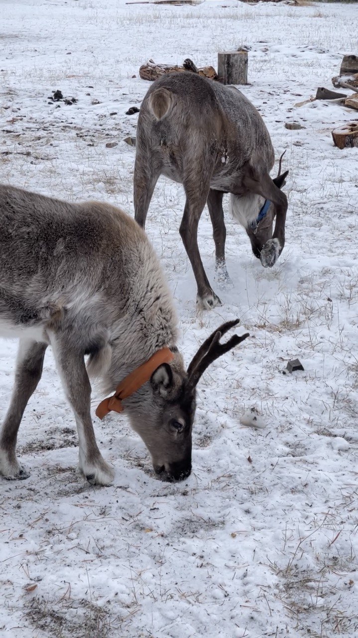 Открой зимнюю Неизведанную Якутию (5/26)