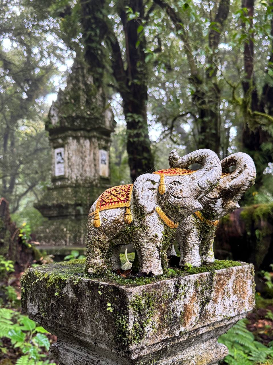 Таиланд. С юга на север, и обратно (4/30)