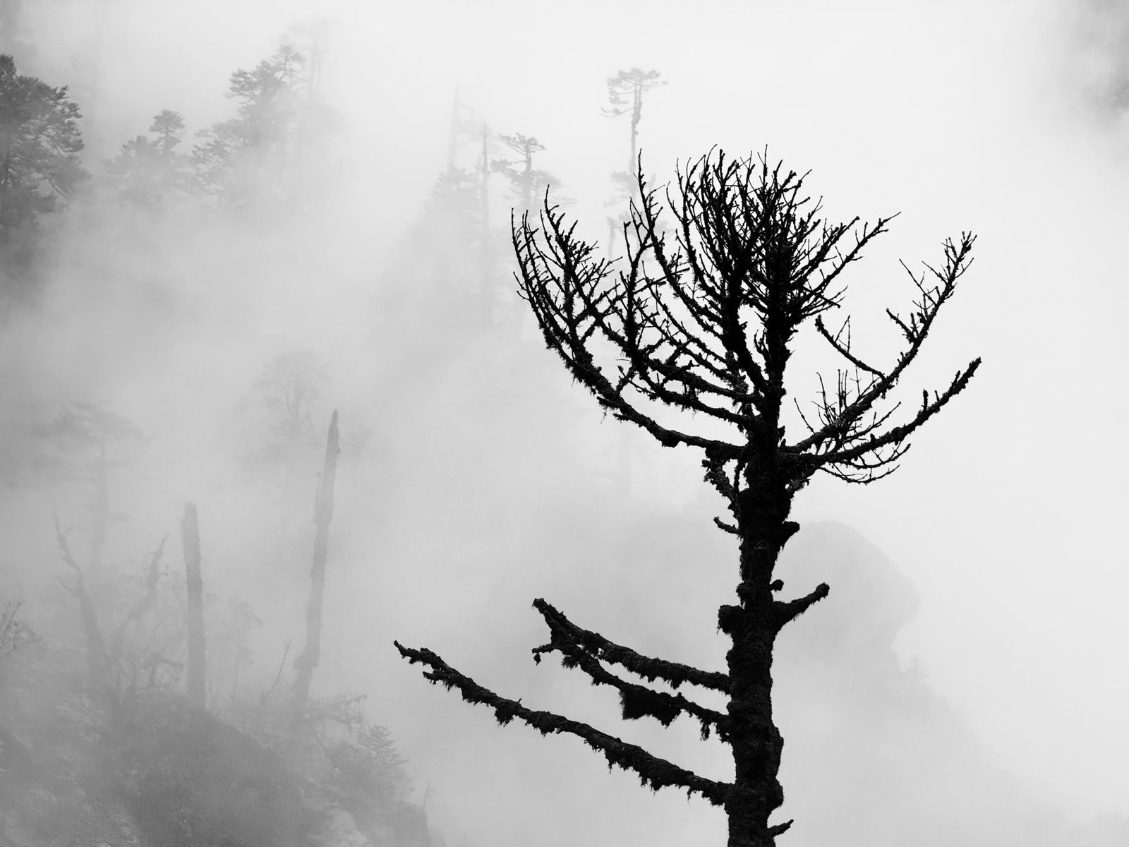 Восхождение на Мера-пик (6470 м) за 17 дней (22/25)