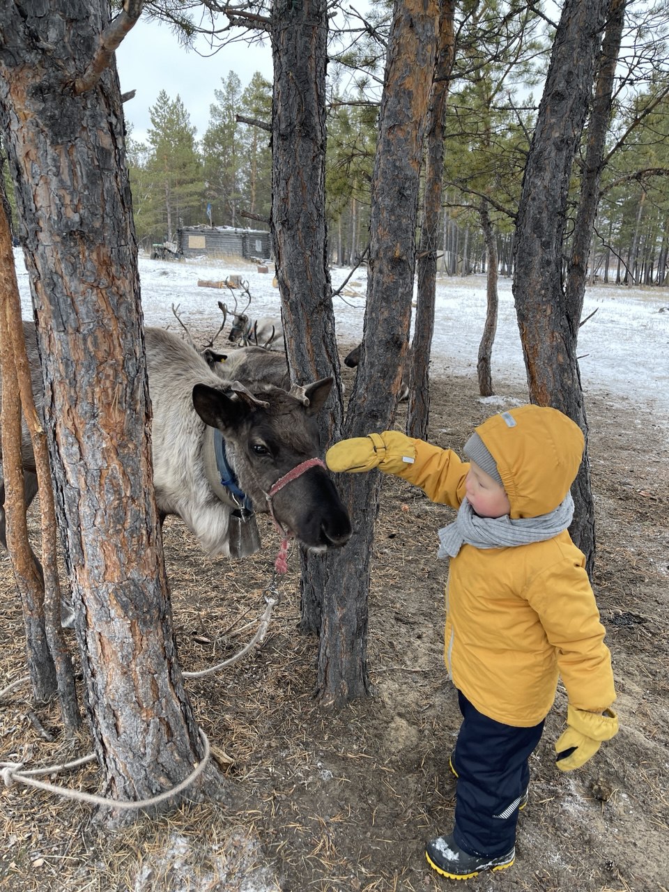 Открой зимнюю Неизведанную Якутию (4/26)