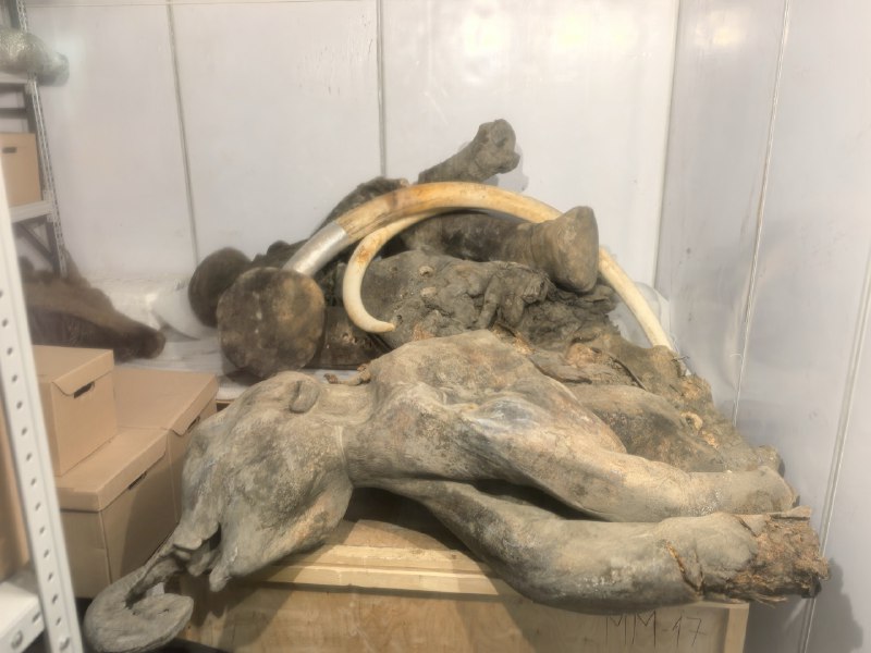 Открой зимнюю Неизведанную Якутию (13/26)