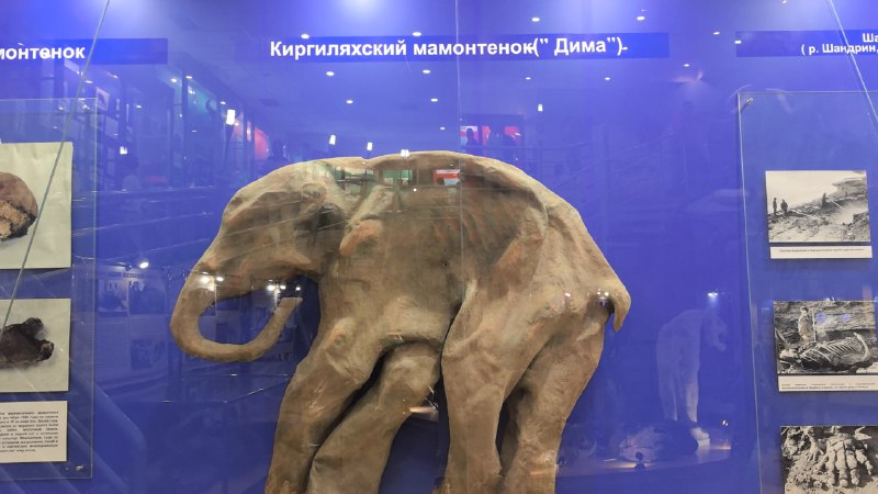 Открой зимнюю Неизведанную Якутию (14/26)