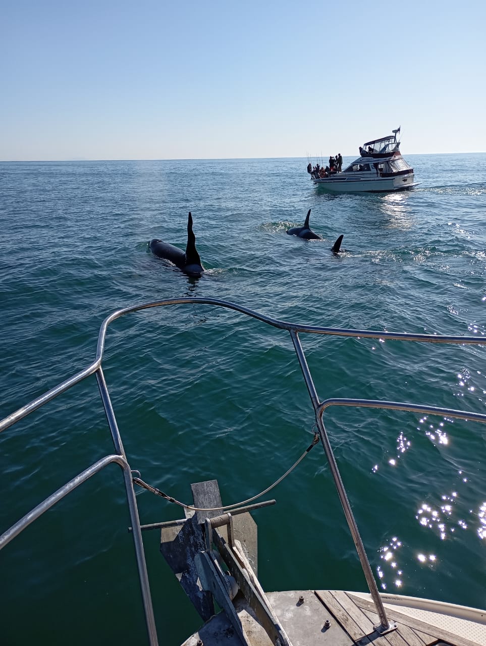 Морская прогулка к бухте Русская  длительность 10 часов на Камчатке (2/10)