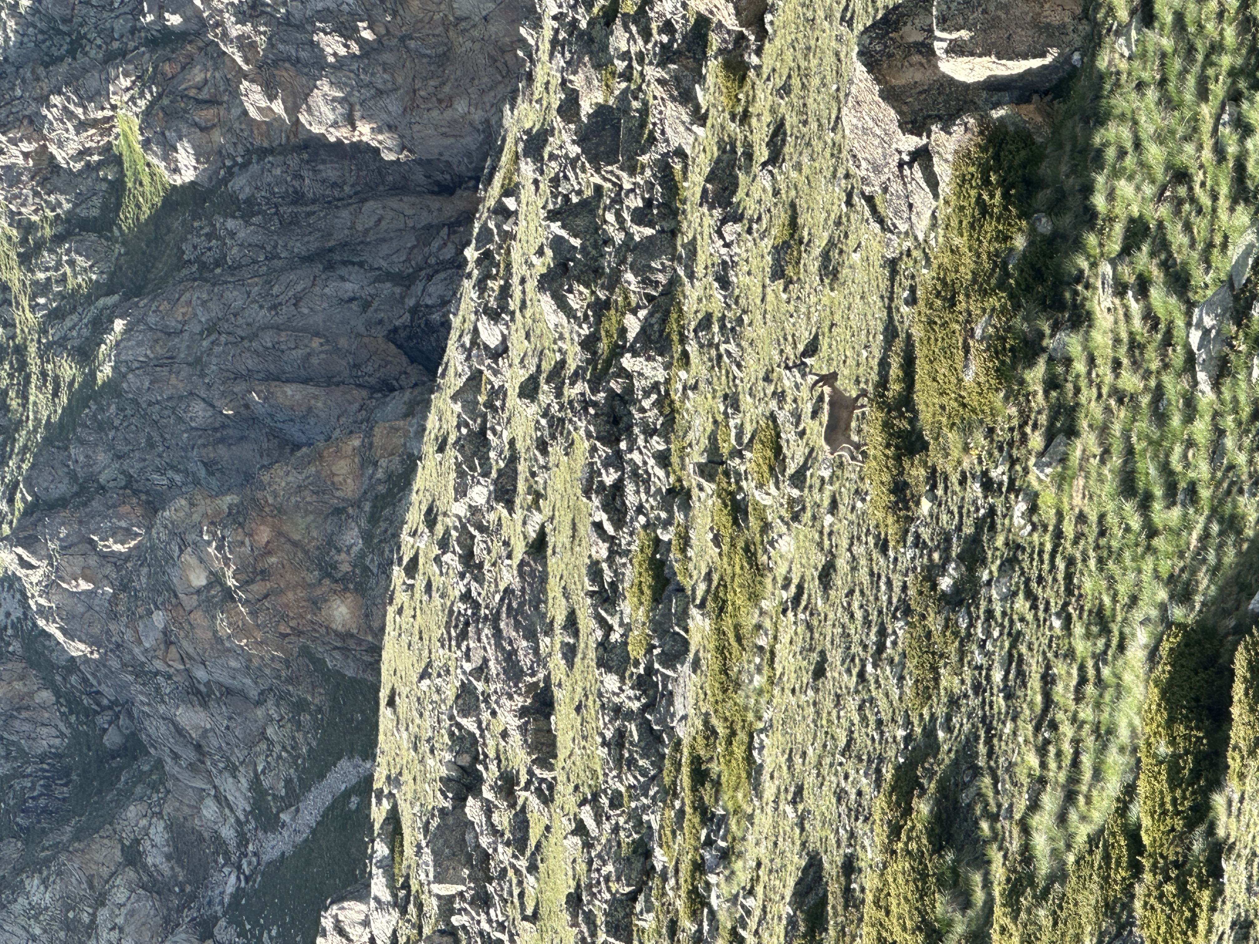 Махар: высокогорное приключение (5/19)