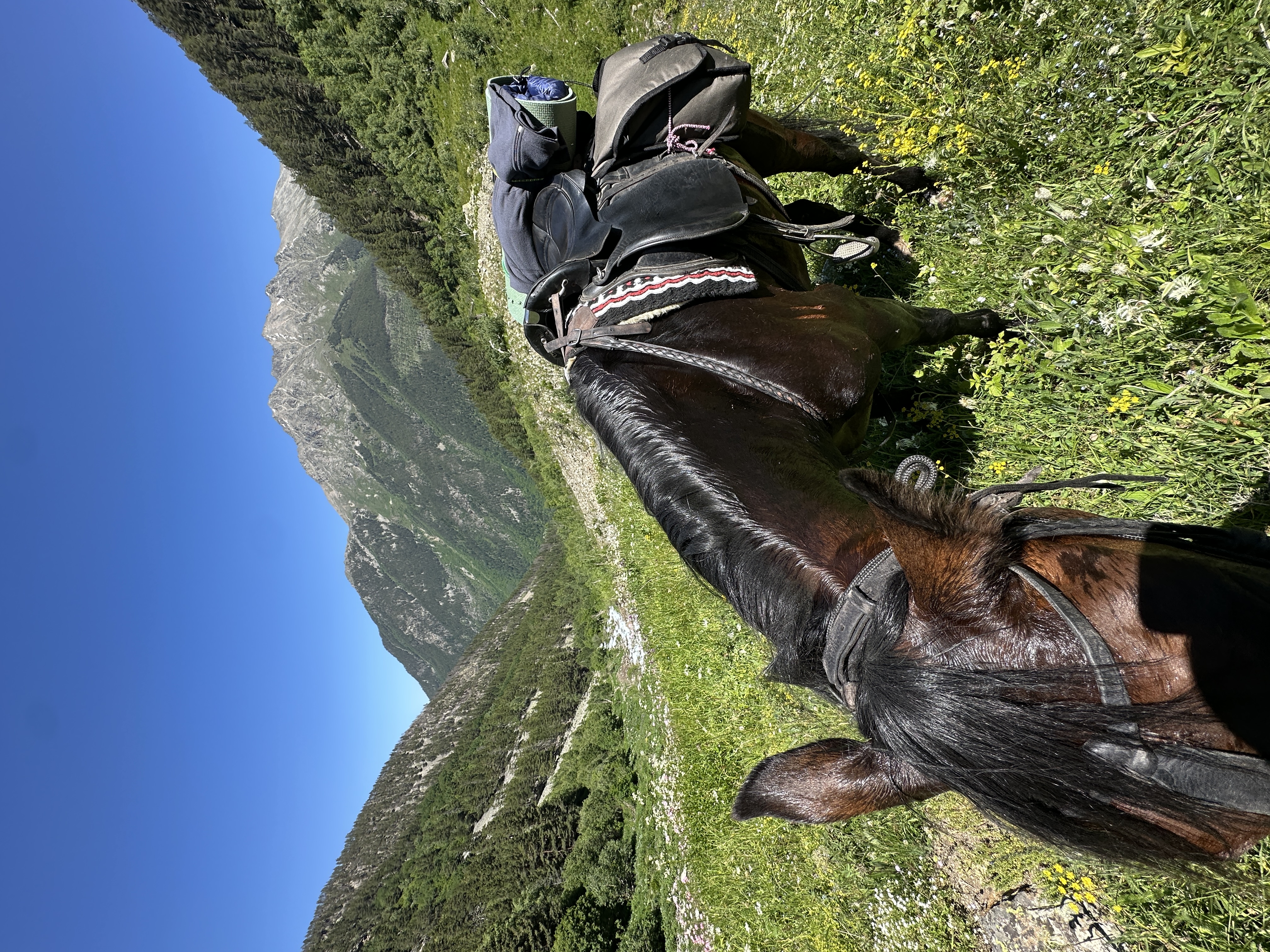 Махар: высокогорное приключение (9/19)