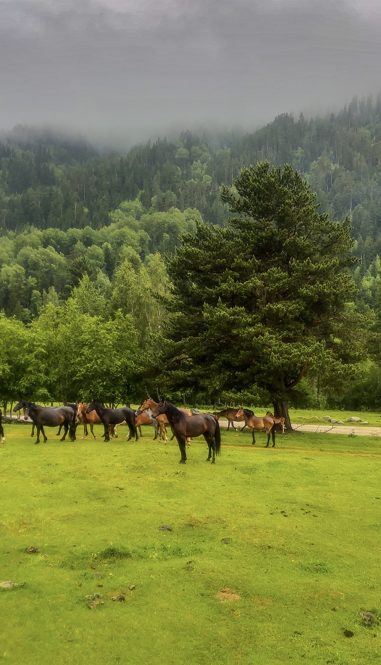 Махар: высокогорное приключение (2/19)