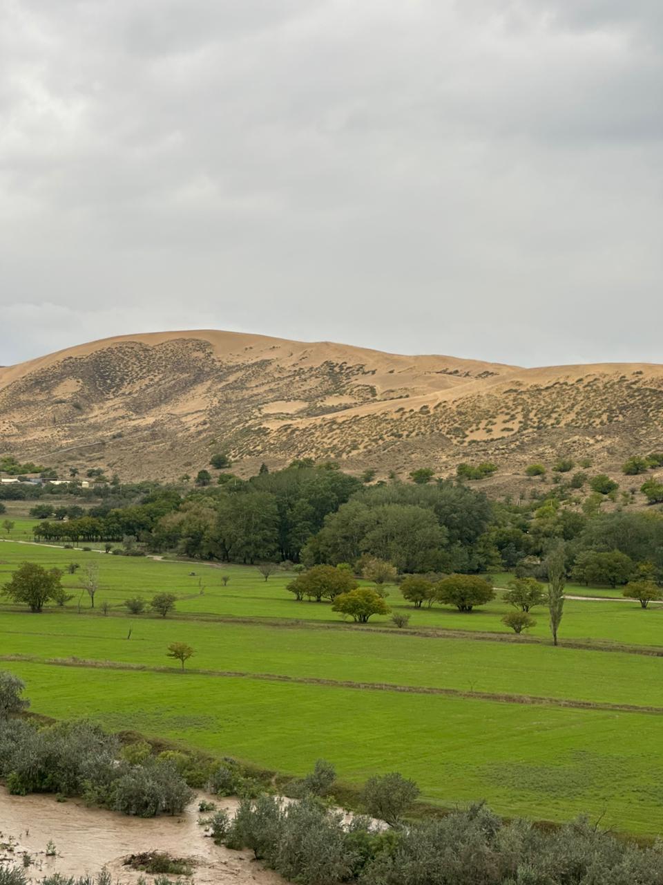 От барханов до вершин за 4 дня. Все включено! (58/78)