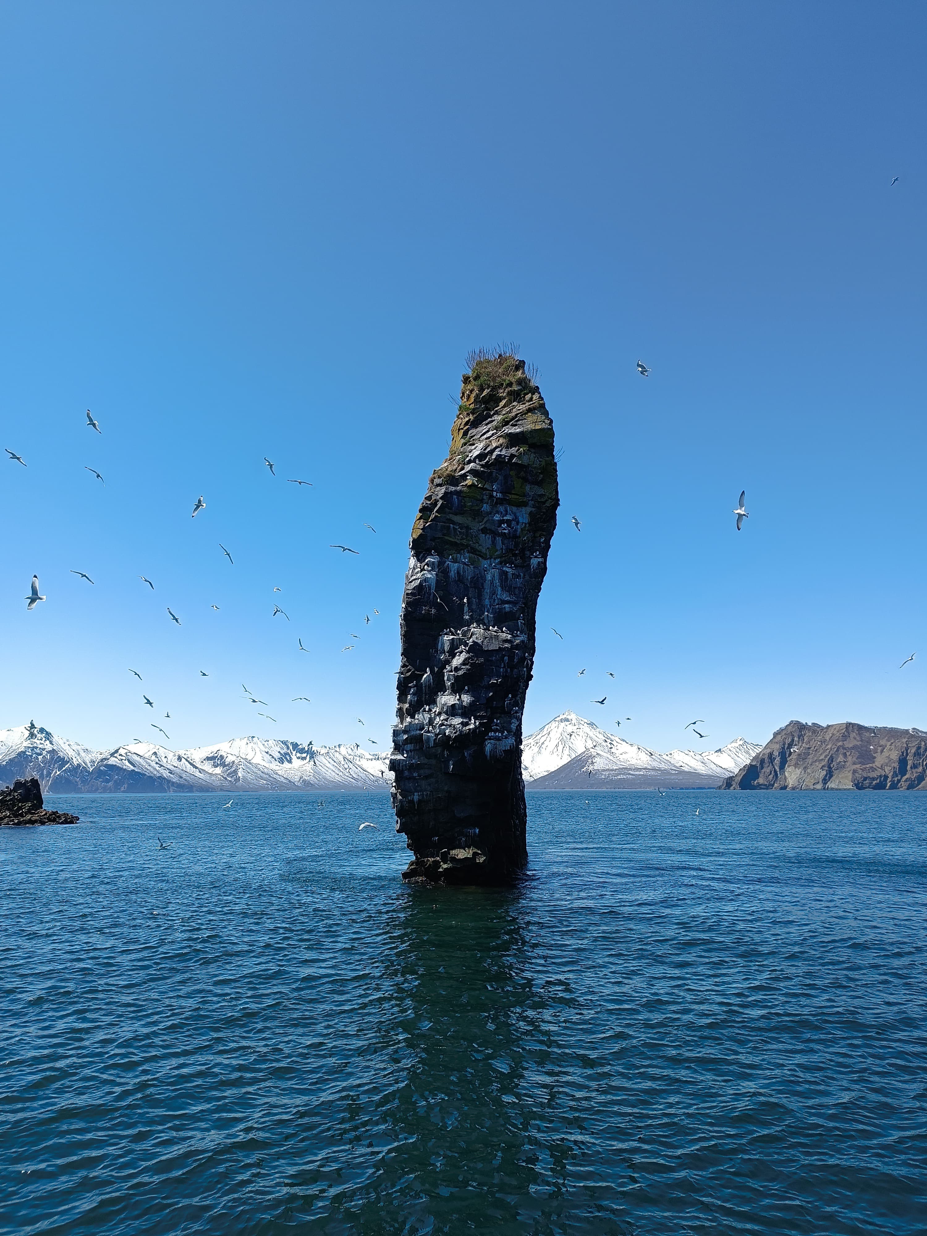 Морская прогулка к бухте Русская  длительность 10 часов на Камчатке (6/10)
