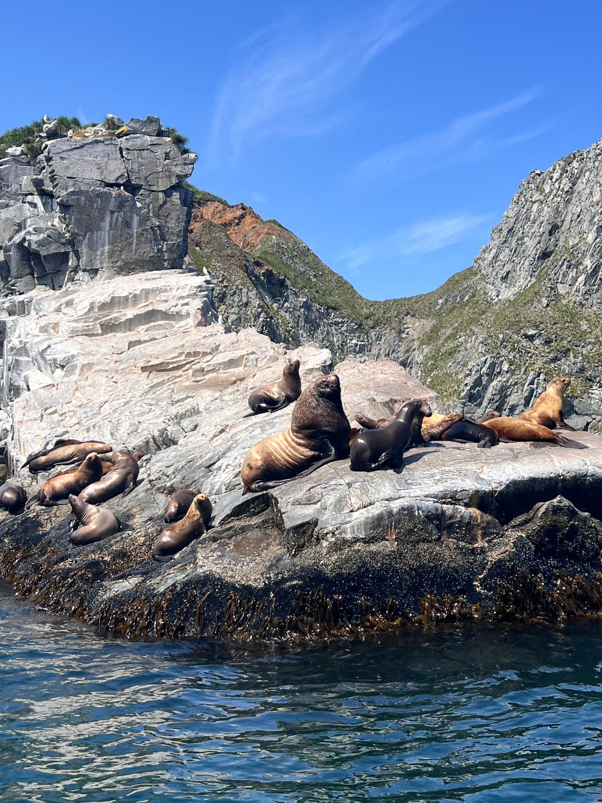 Морская прогулка к бухте Русская  длительность 10 часов на Камчатке (4/10)