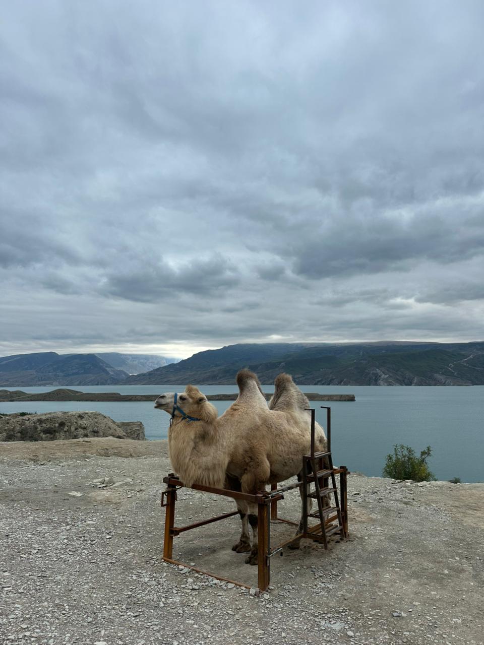 От барханов до вершин за 4 дня. Все включено! (35/78)