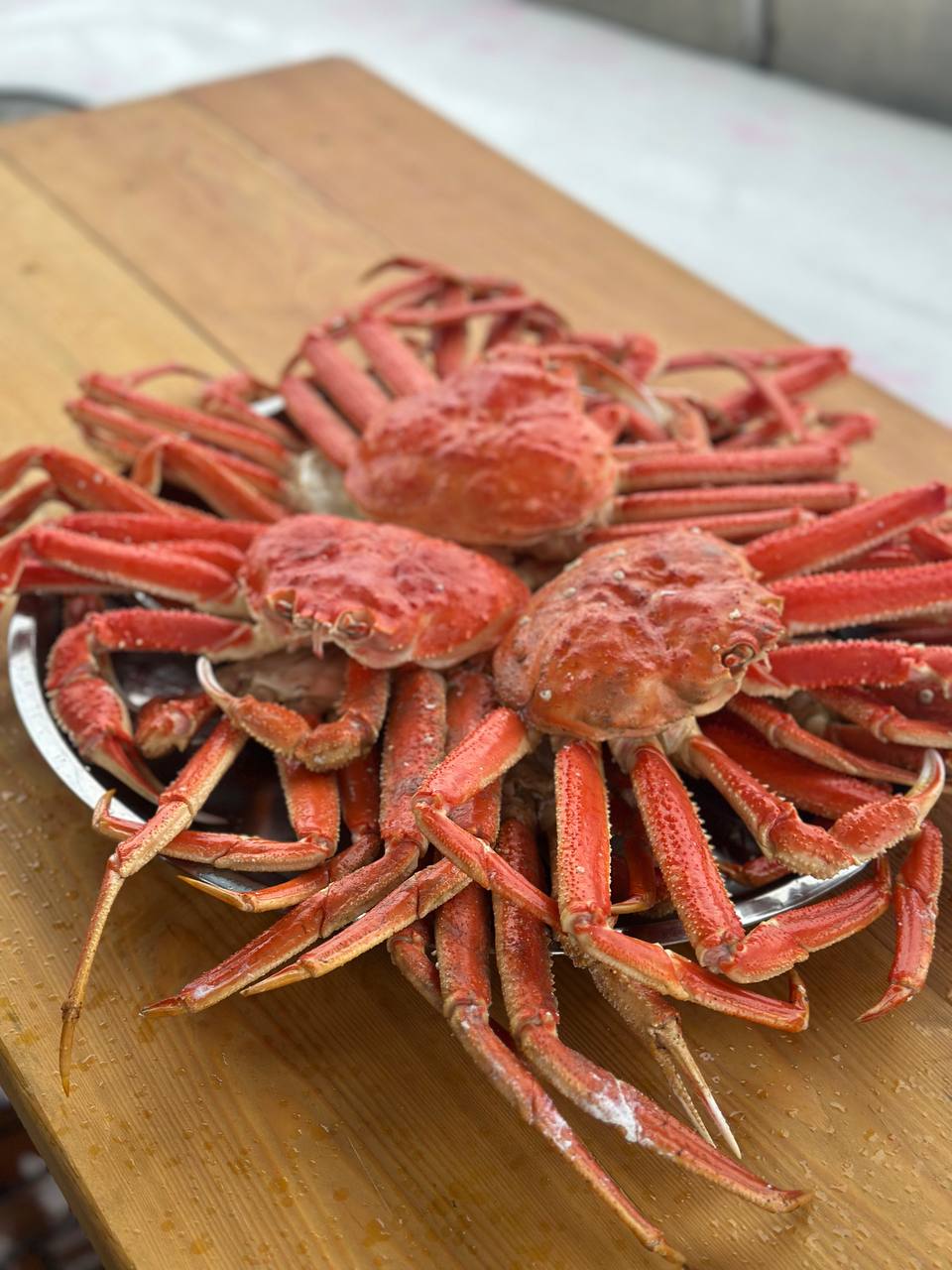 Морская прогулка к заповеднику остров Старичков