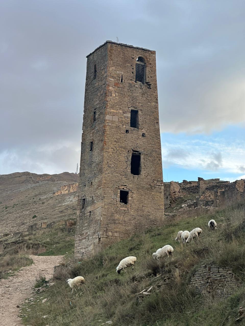 От барханов до вершин за 4 дня. Все включено! (36/78)