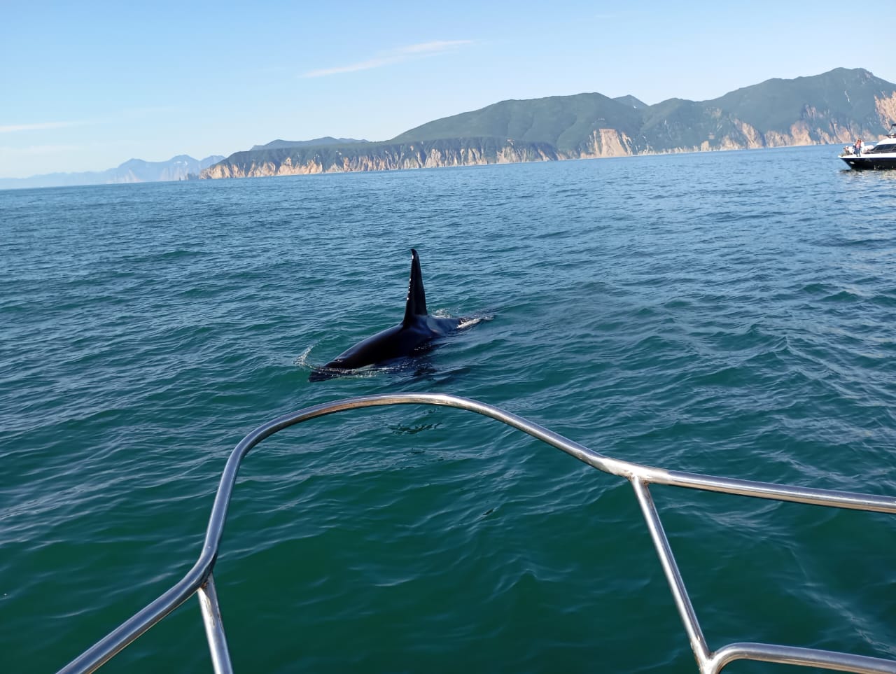 Морская прогулка на Камчатке  к острову Старичков длительность  6 часов