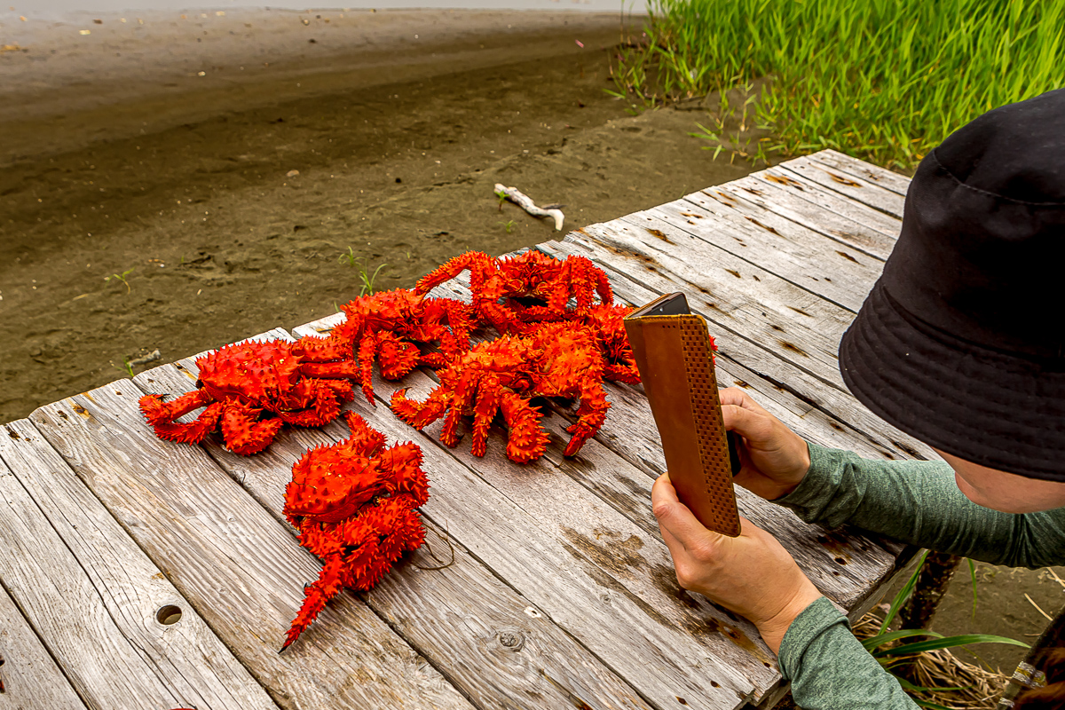 Итуруп и Кунашир. Путешествие на другую планету. (34/193)