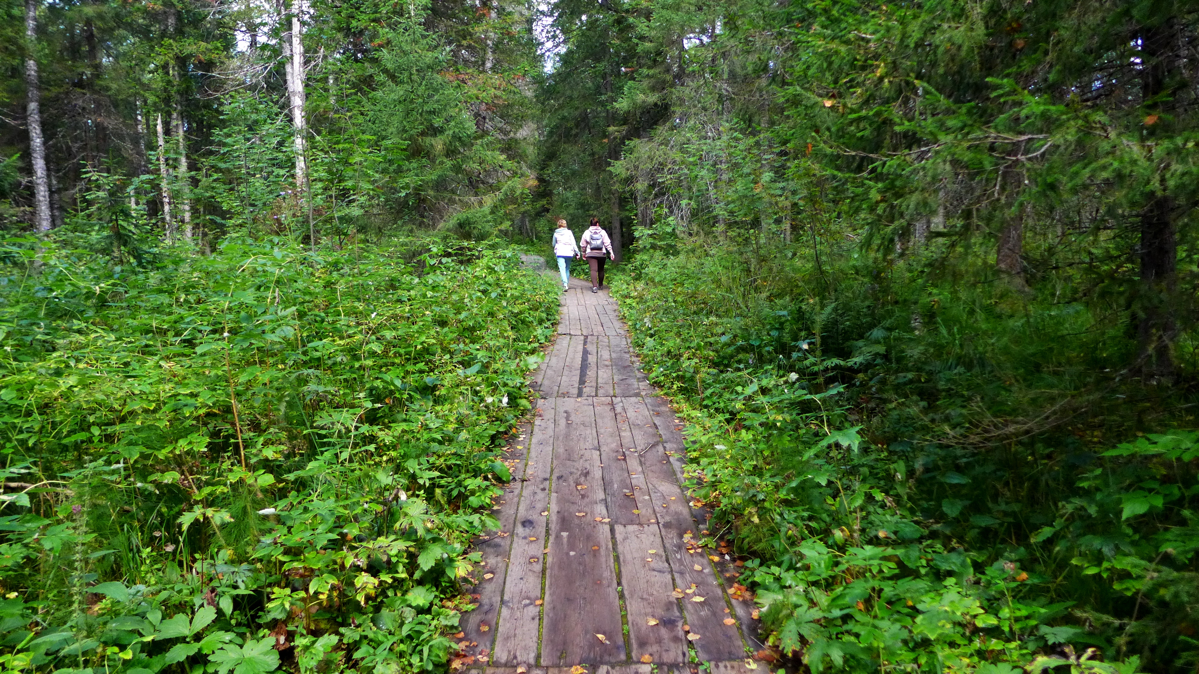 Знакомство с Уралом (32/45)