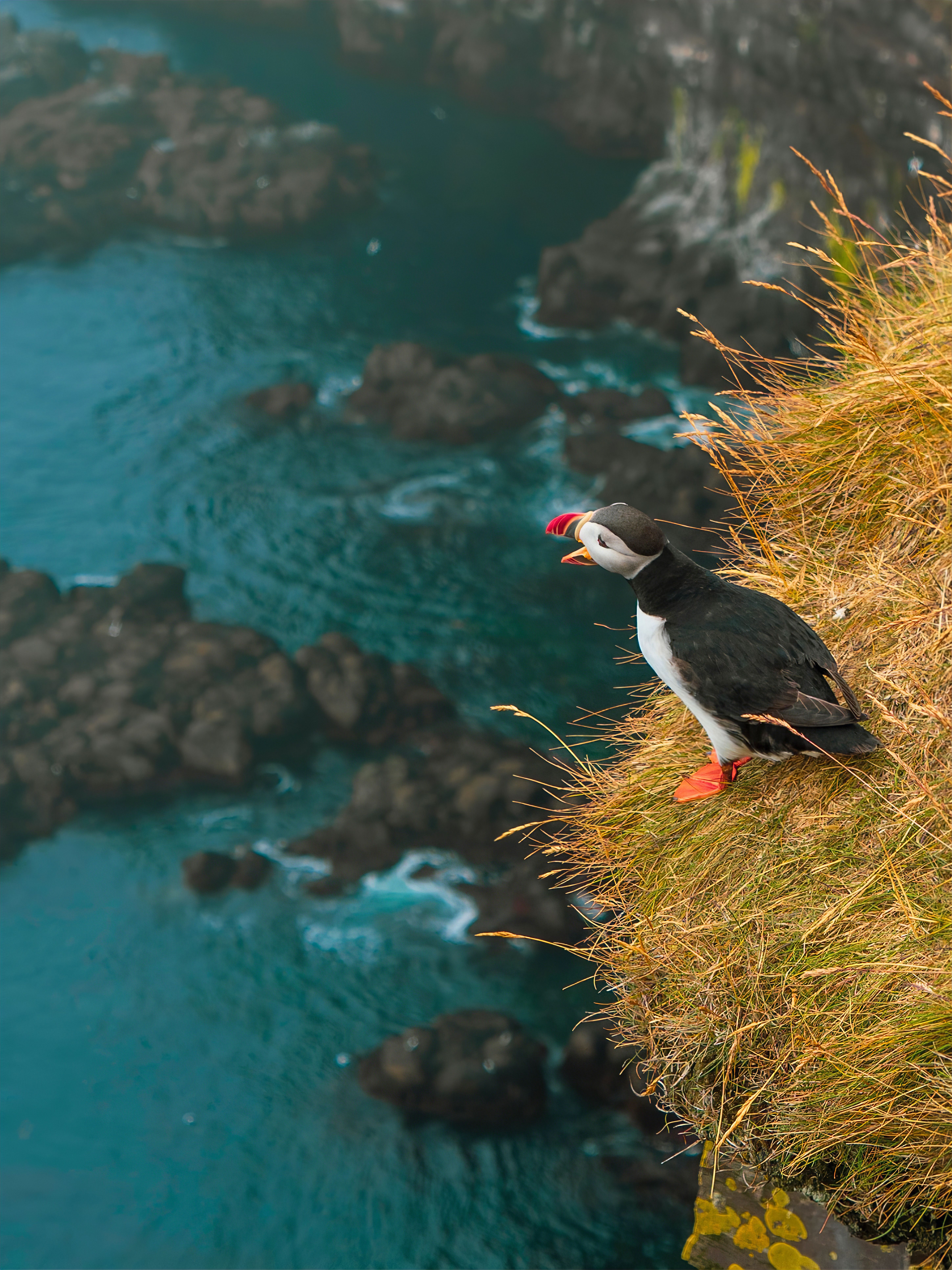Исландия - за 8 дней вокруг остров