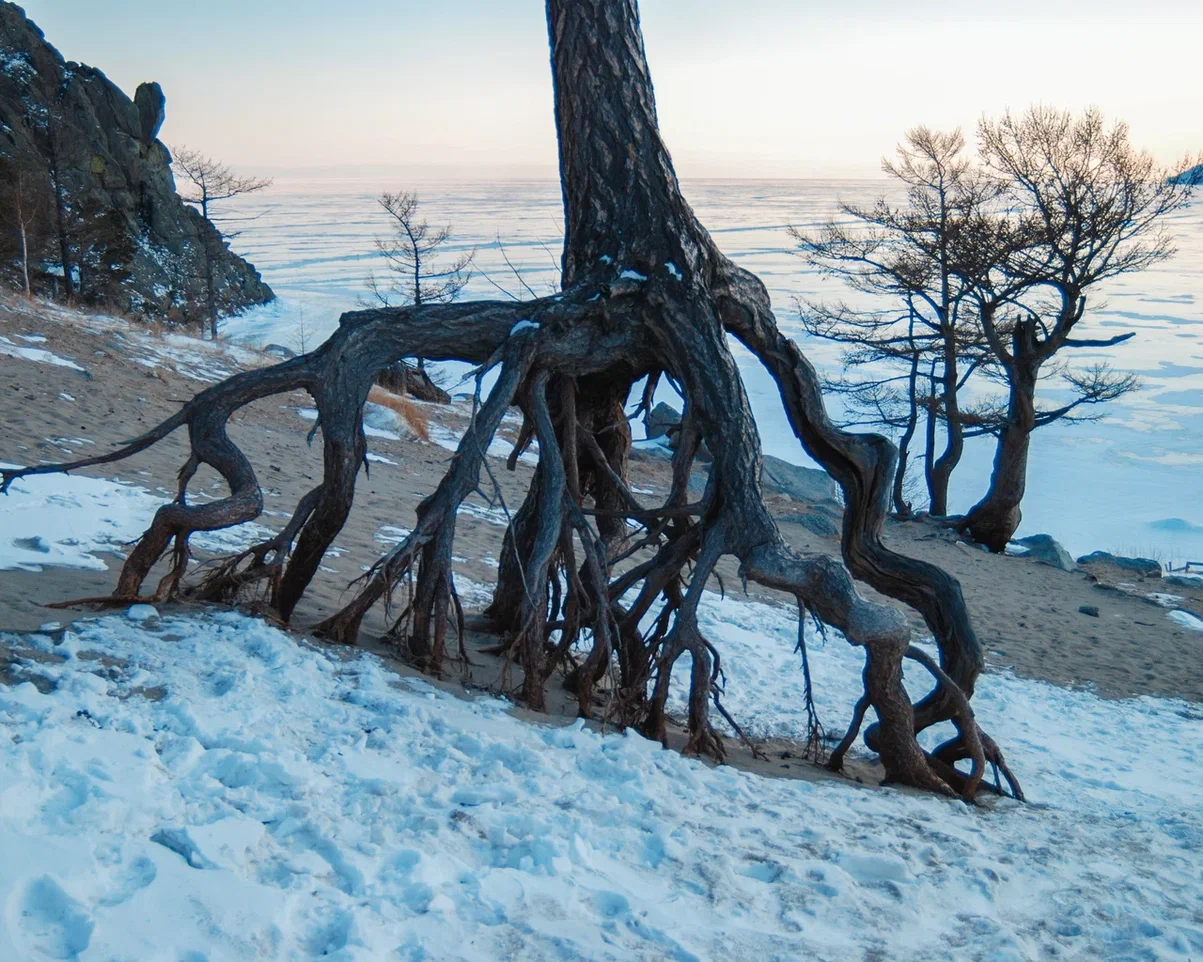 В бухту Песчаную на Хивусе каждый день! (11/11)