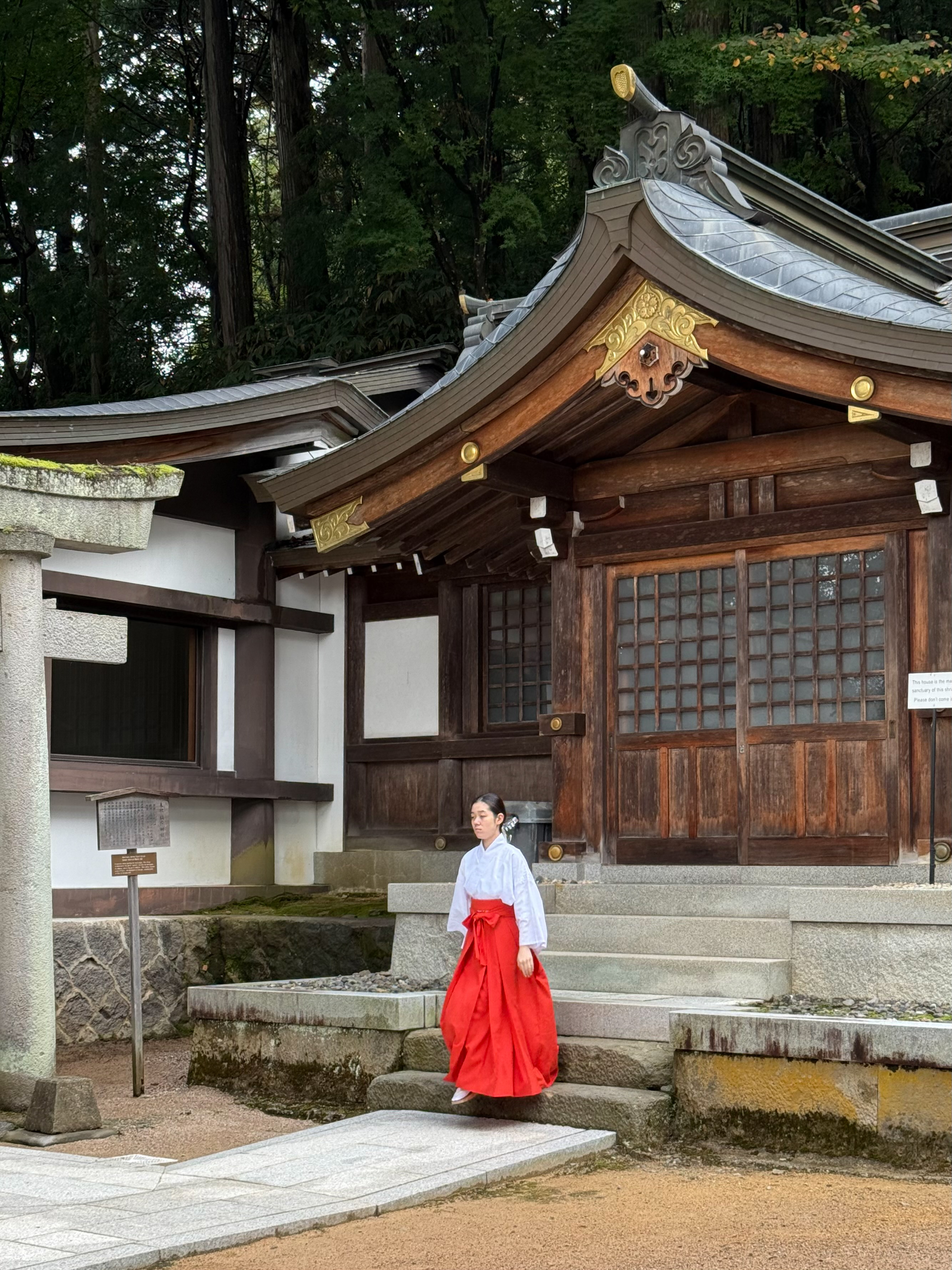 Япония: Путь за пределы (26/67)