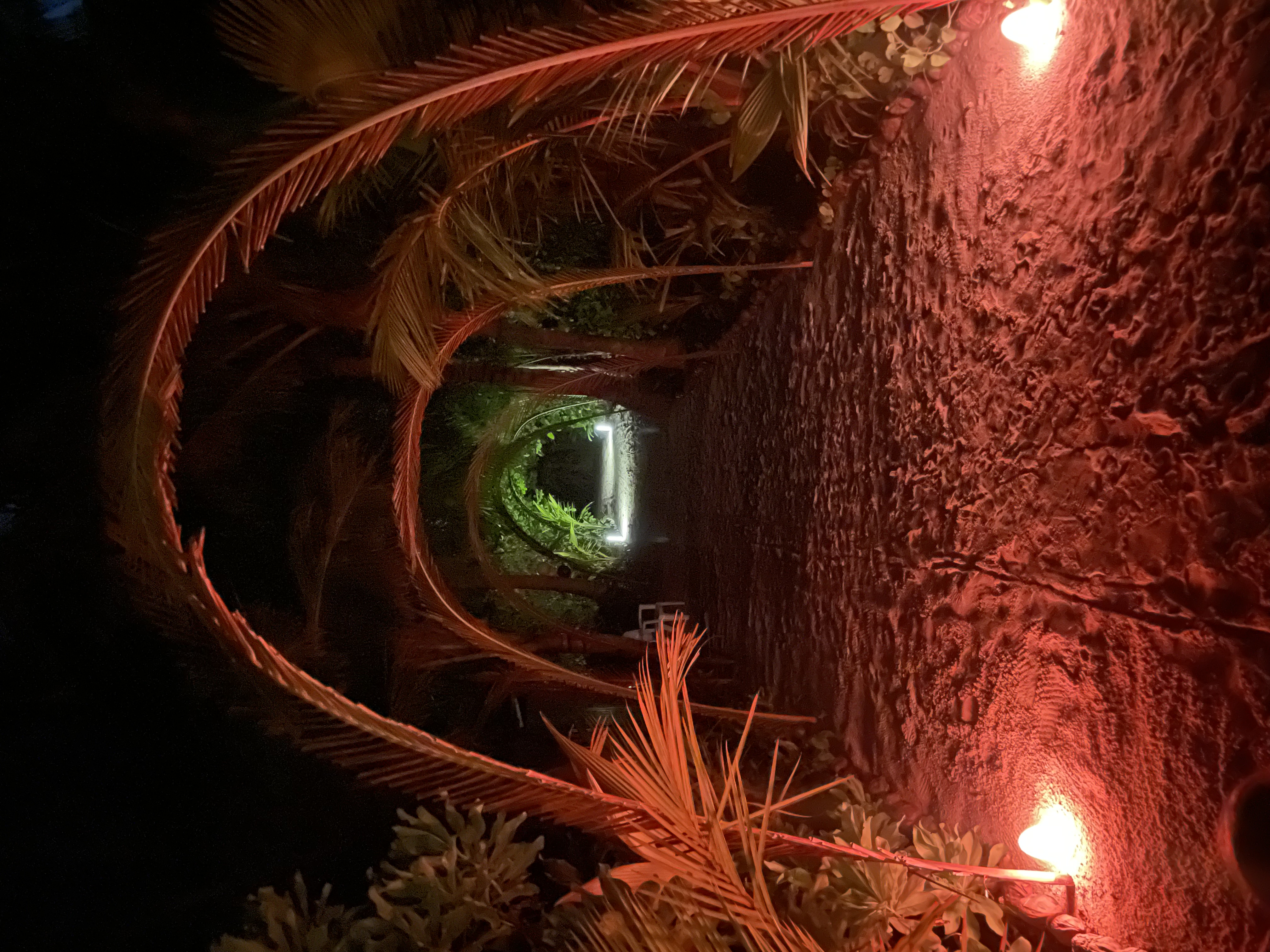 Свободный день