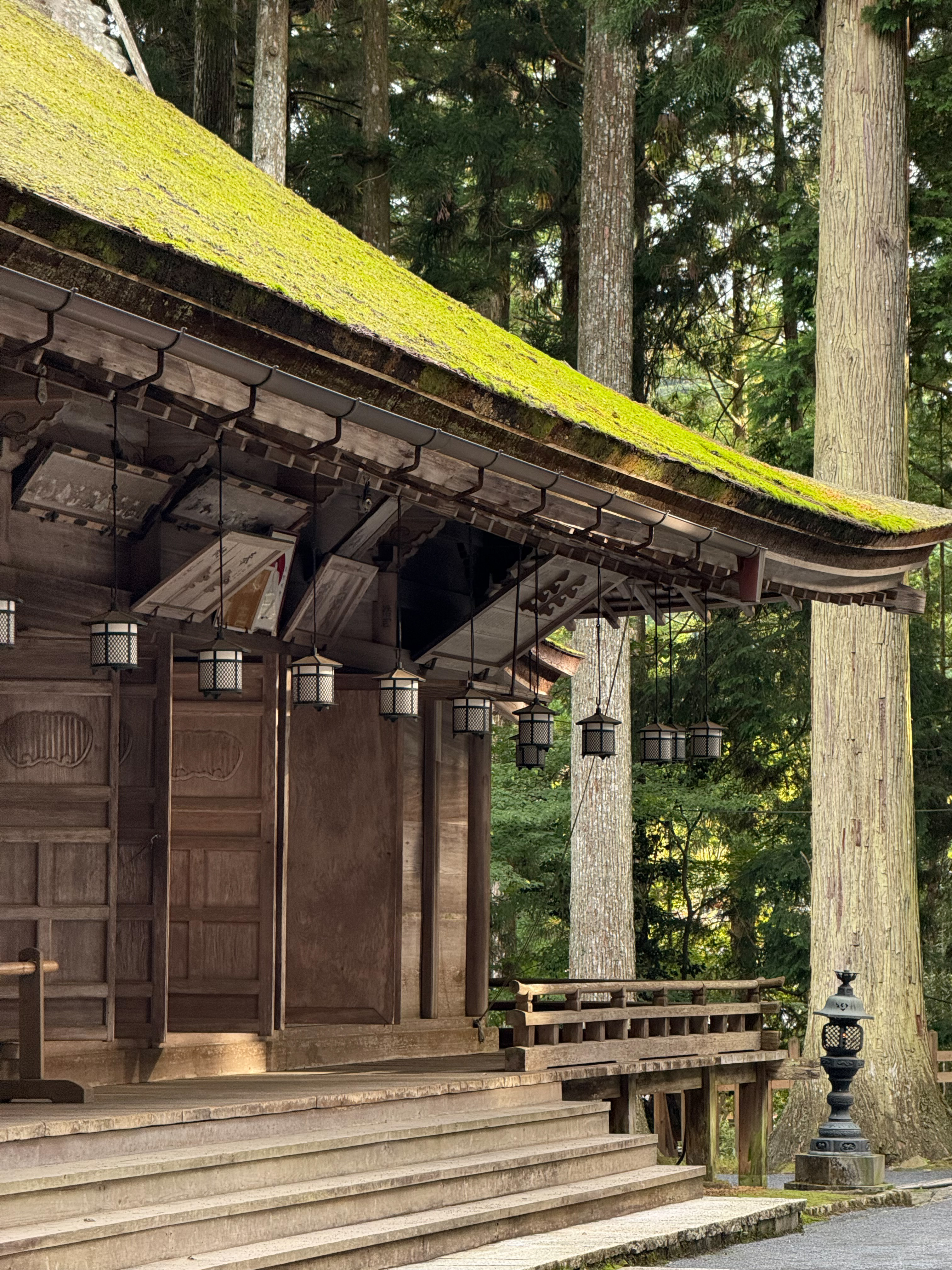 Япония: Путь за пределы (28/67)