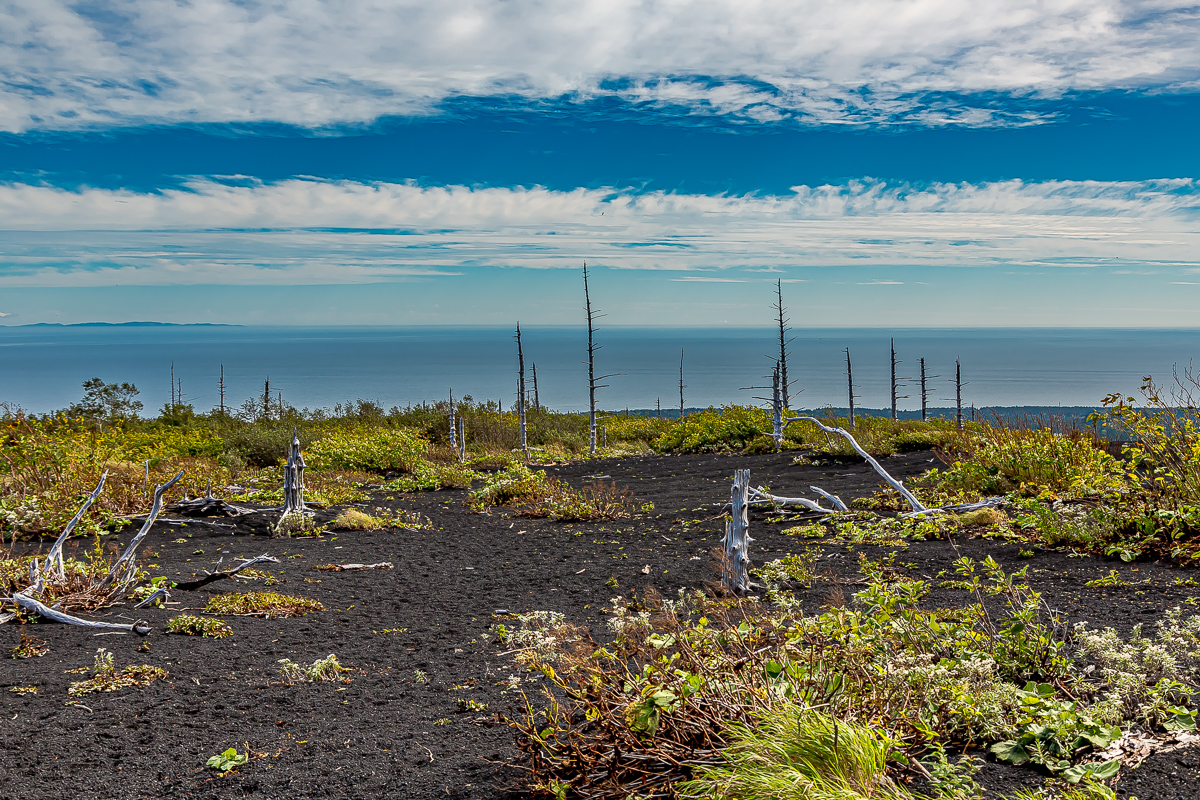 Кунашир и Хабомаи. Путешествие на другую планету (28/142)