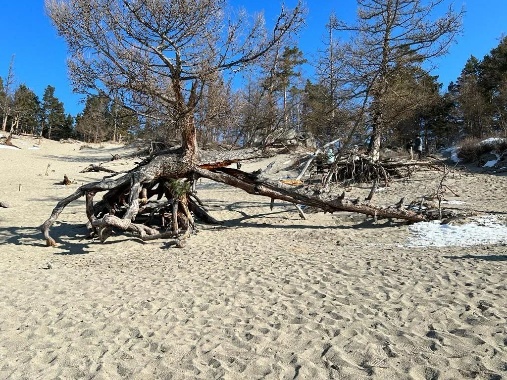 В бухту Песчаную на Хивусе каждый день! (4/11)