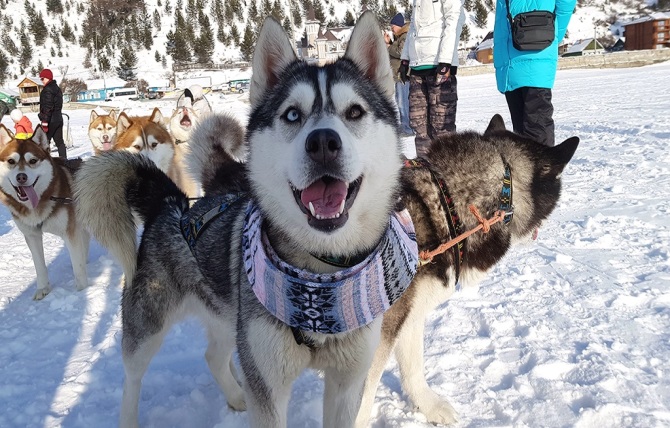 День в п. Листвянка
