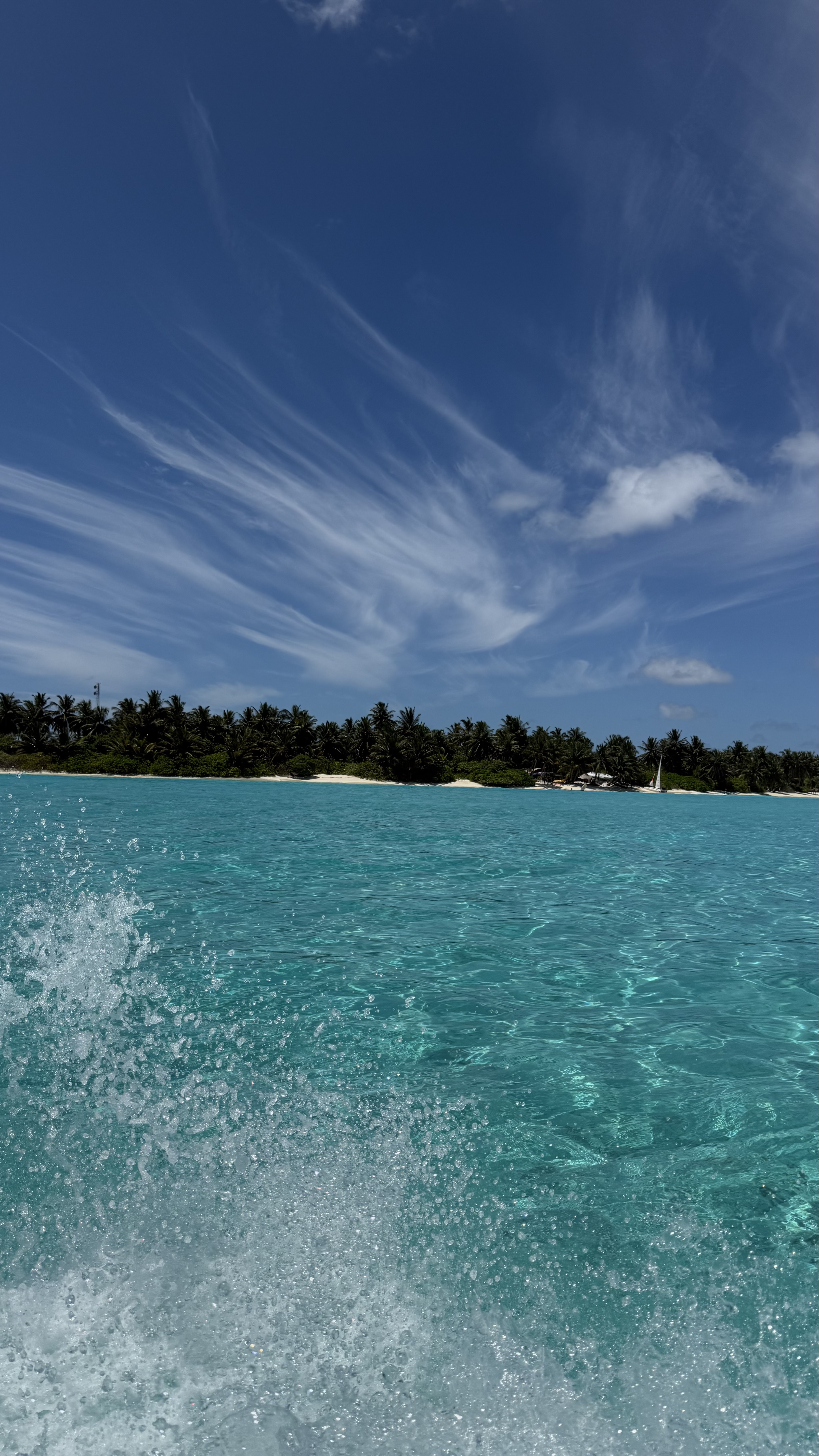 Свободный день