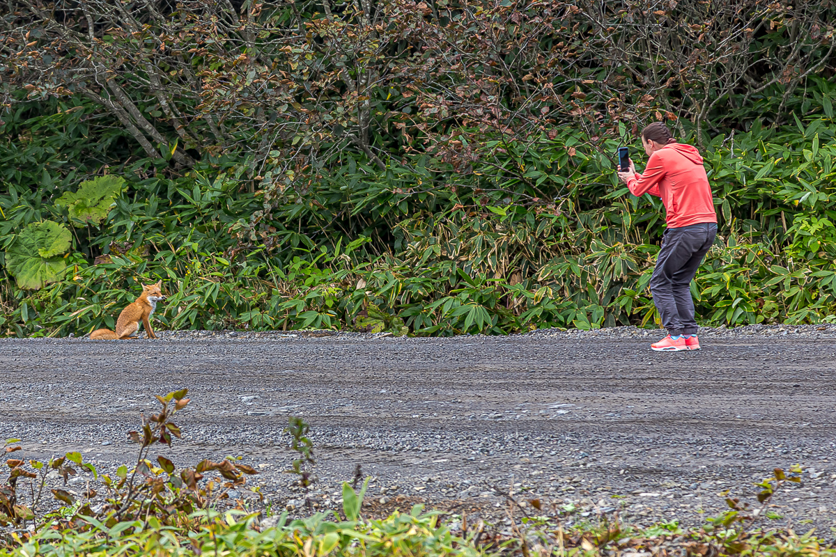 Итуруп и Кунашир. Путешествие на другую планету. (26/193)