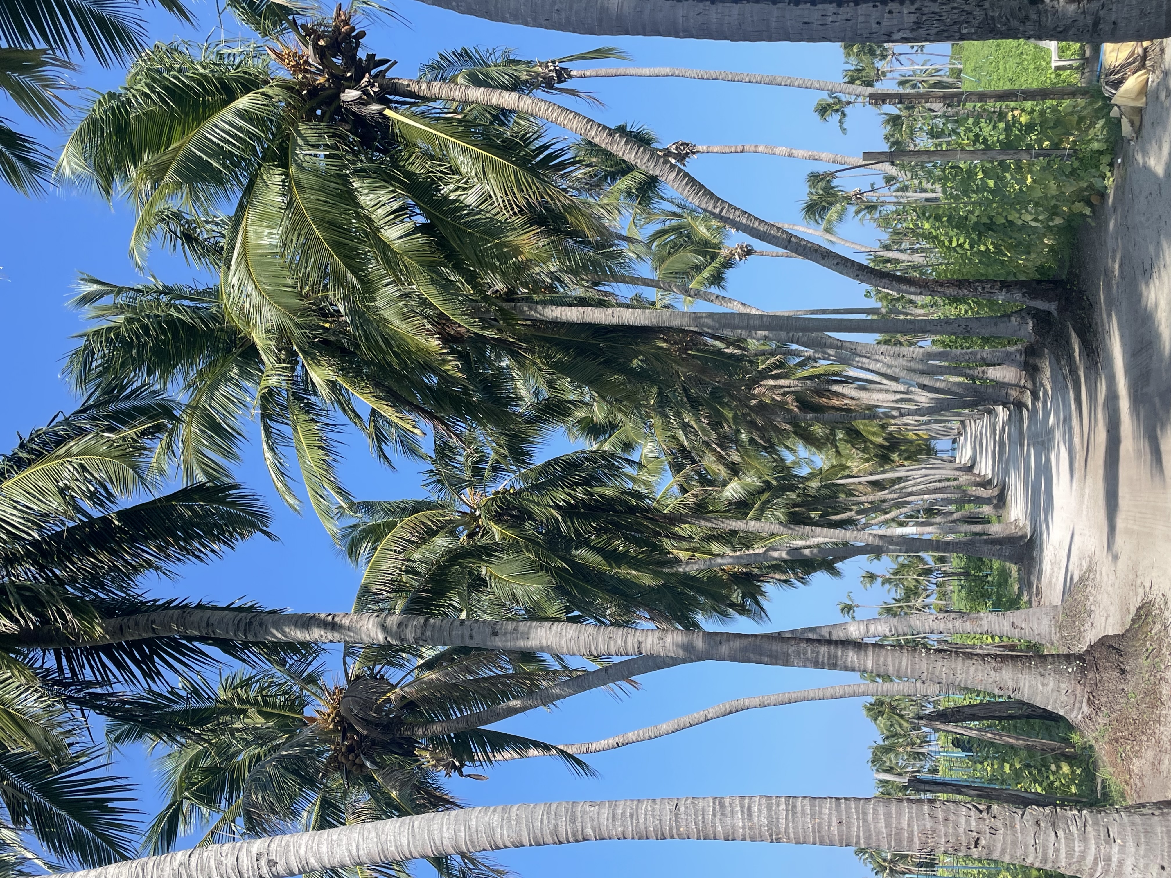 Возвращаемся в Мале