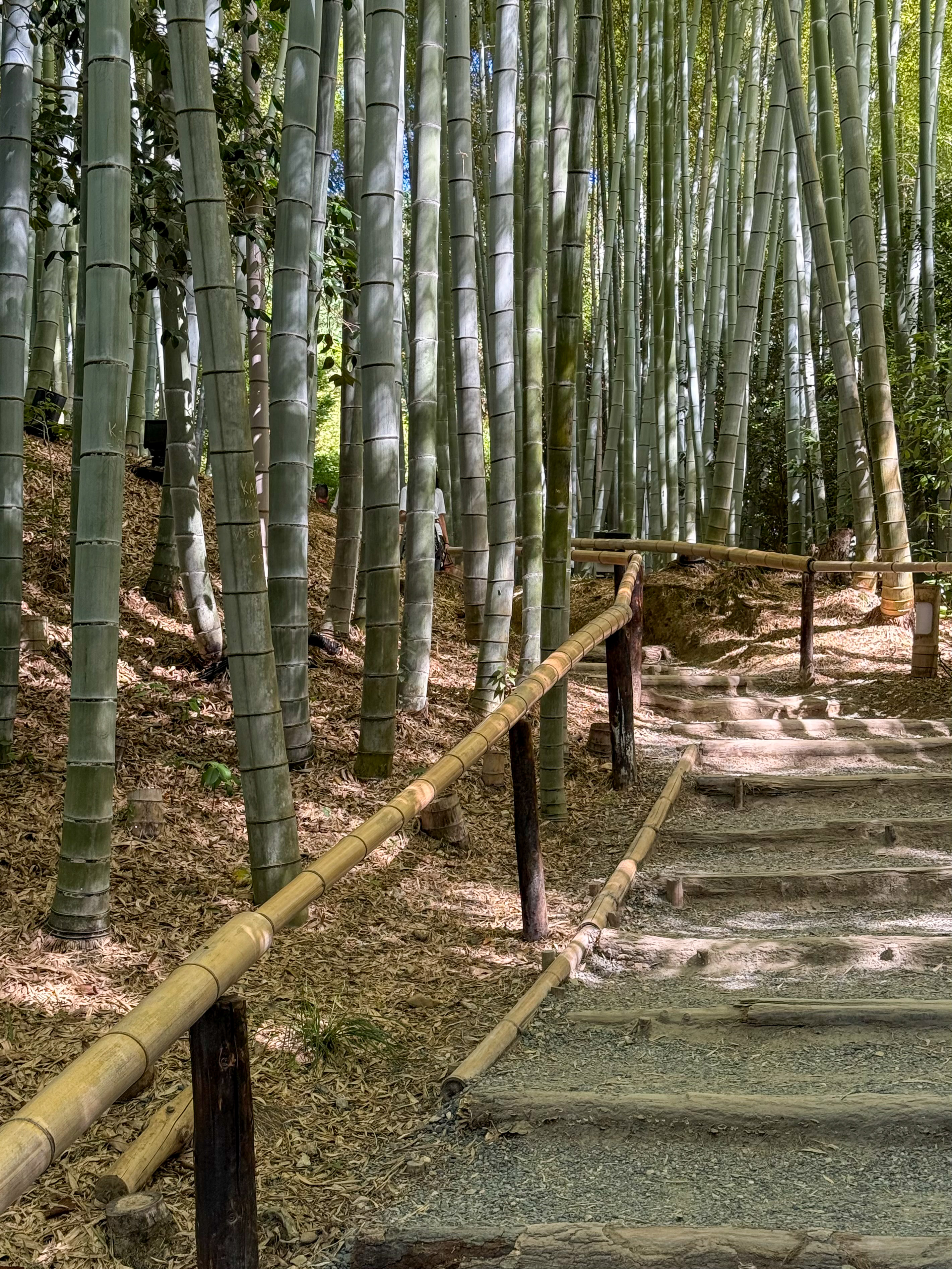 Япония: Путь за пределы (15/67)