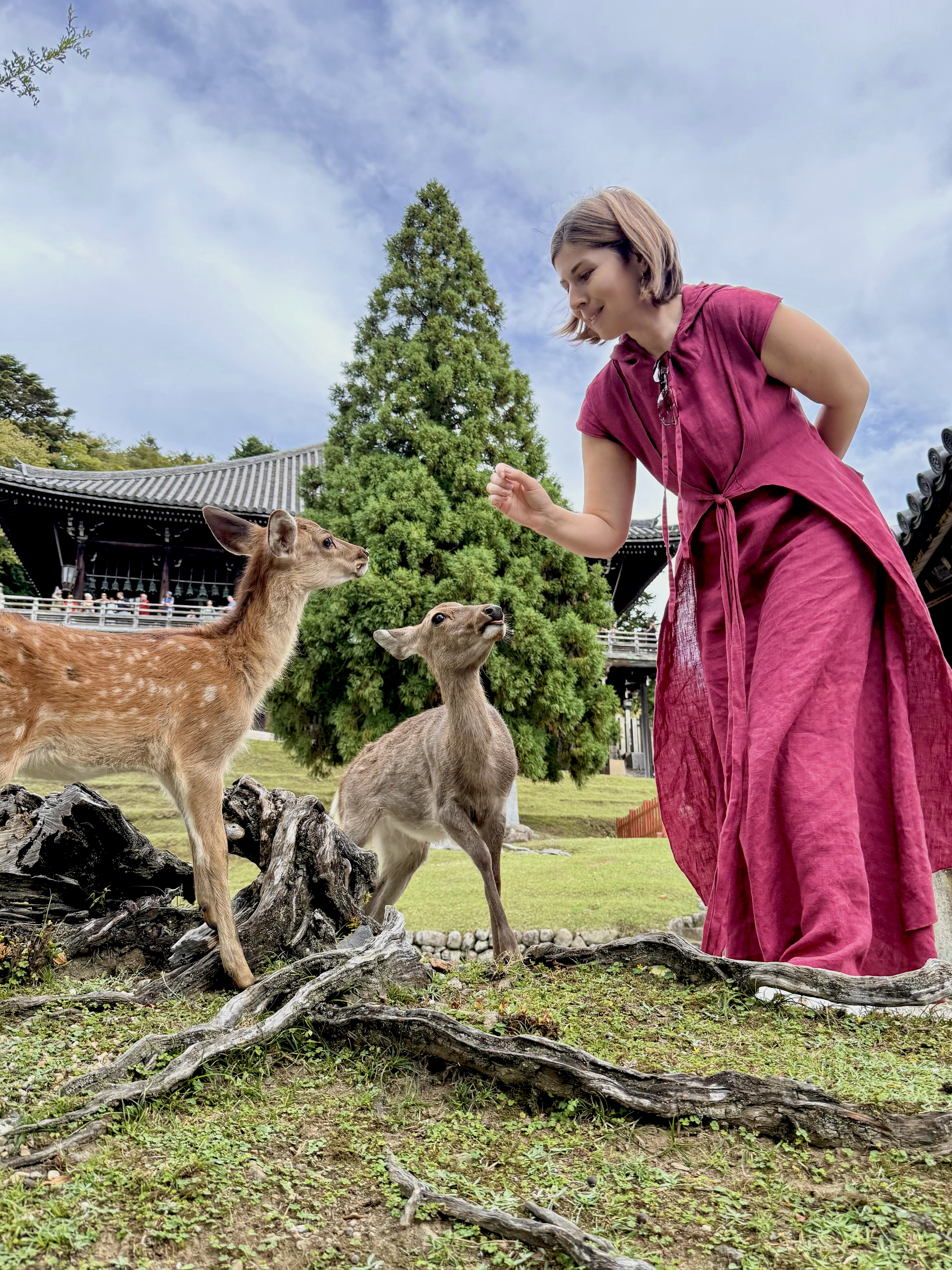 Япония: Путь за пределы (11/67)