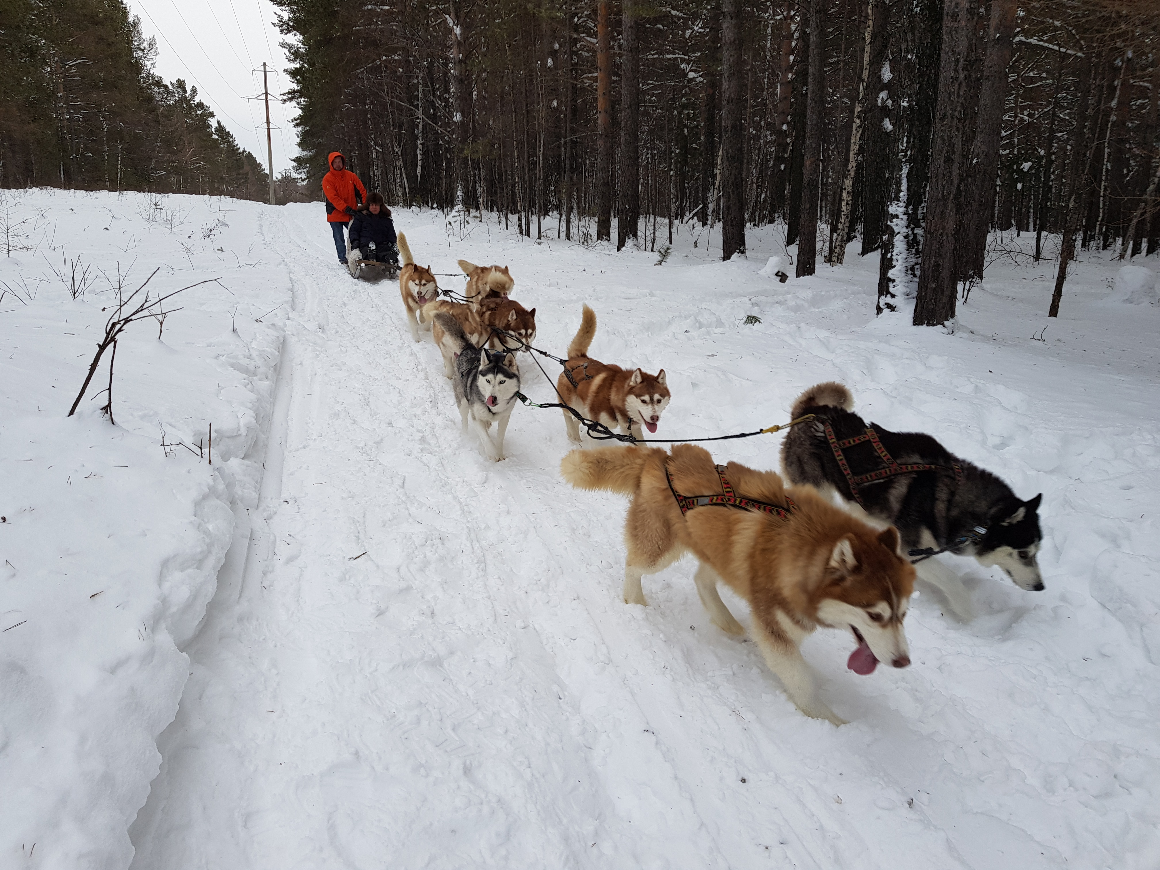Знакомство с бытом и обычаями сибиряков