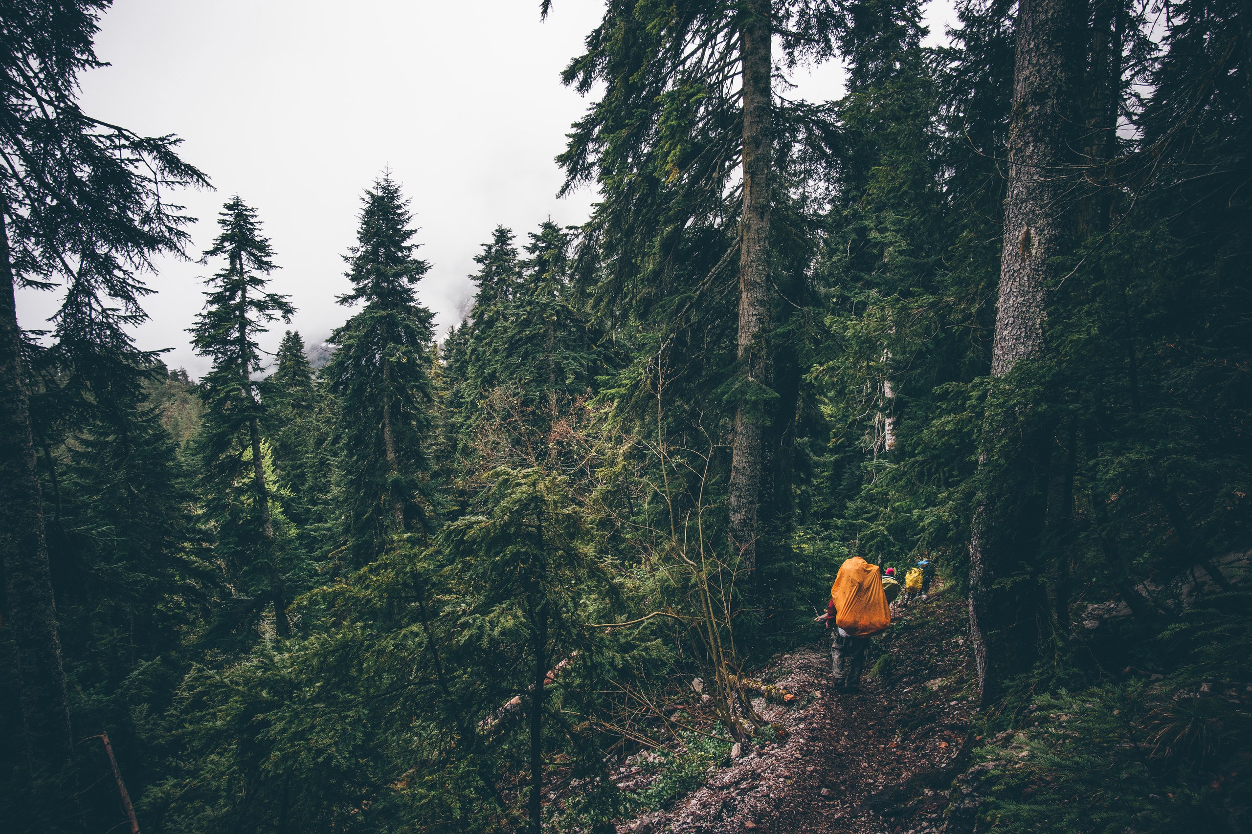 Треккингтур Три сезона в горах: незабываемое весеннее путешествие по Абхазии (3/27)