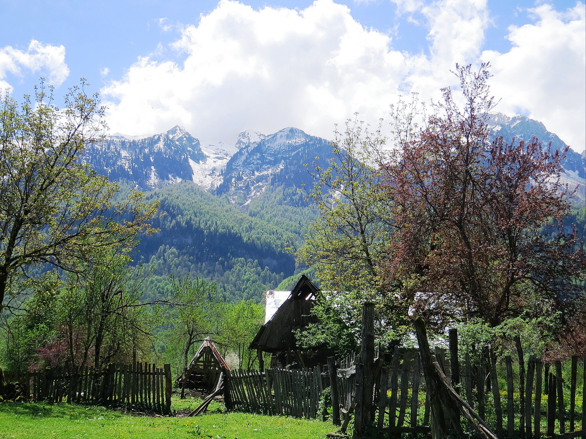 Треккингтур Три сезона в горах: незабываемое весеннее путешествие по Абхазии (6/27)