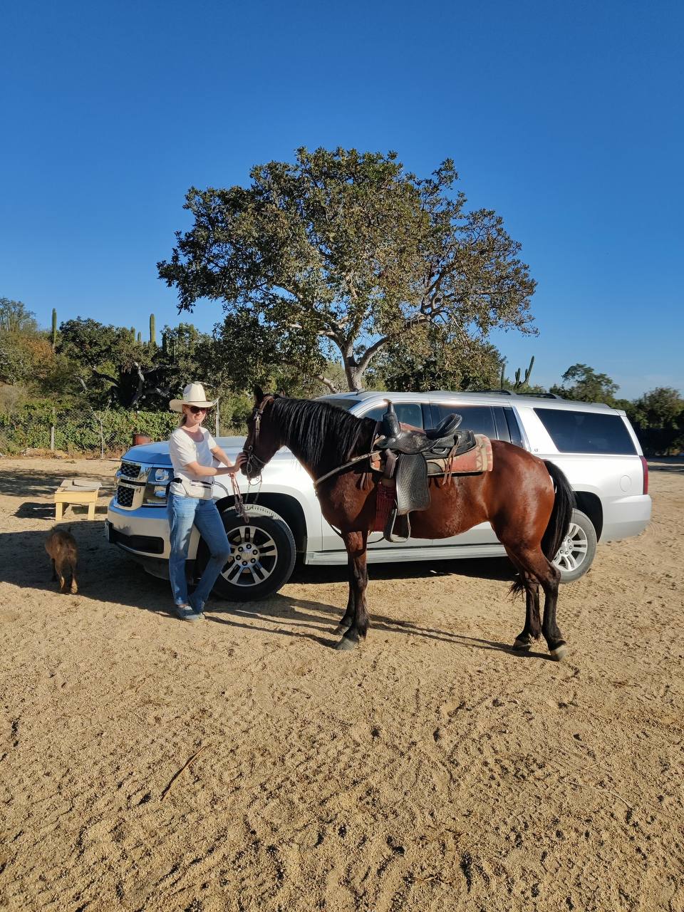 Мексика: большое путешествие по 5 штатам