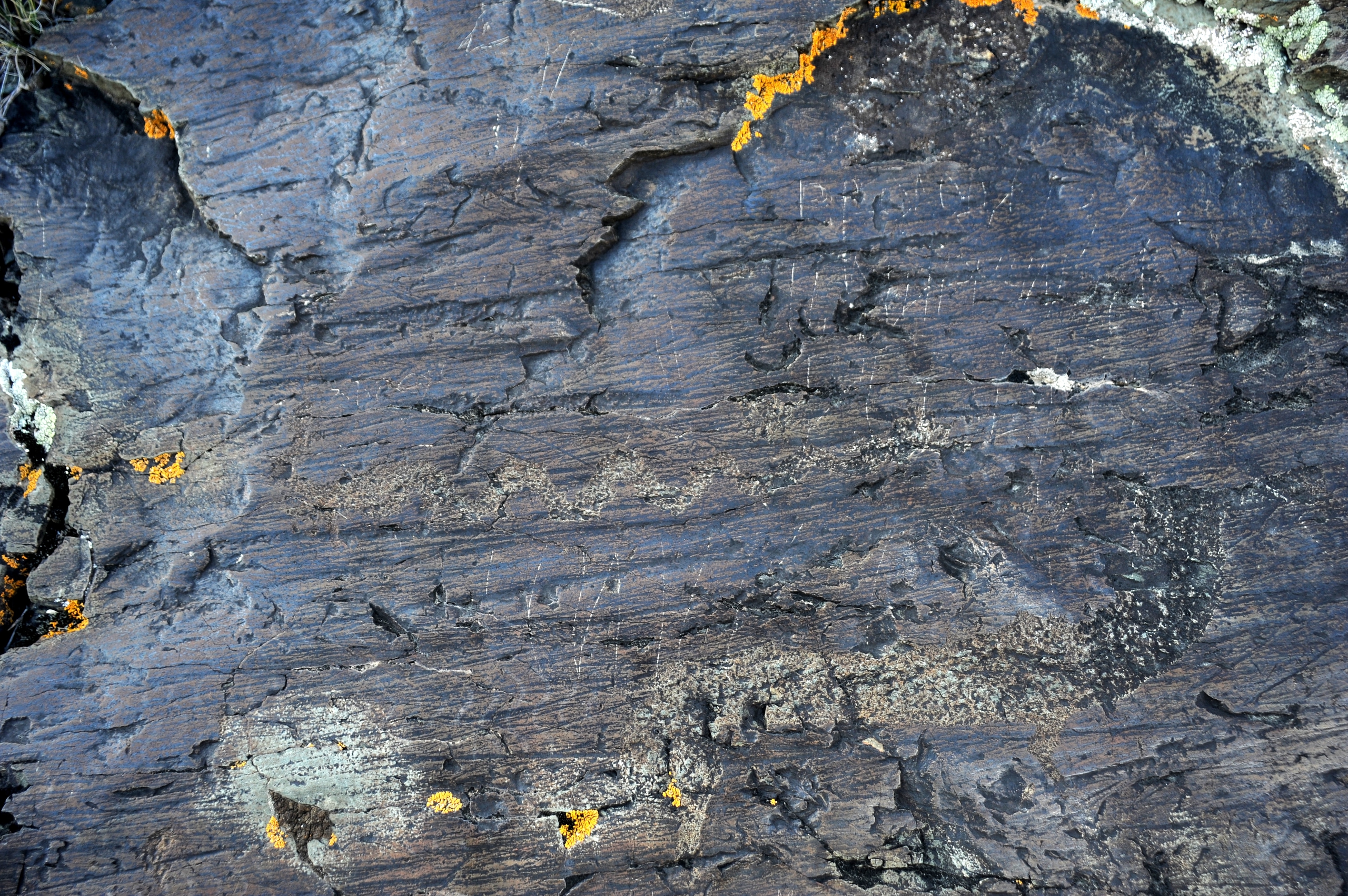 Авто экспедиция в дальний Алтай! Долина Аргута, где мало кто был (9/37)