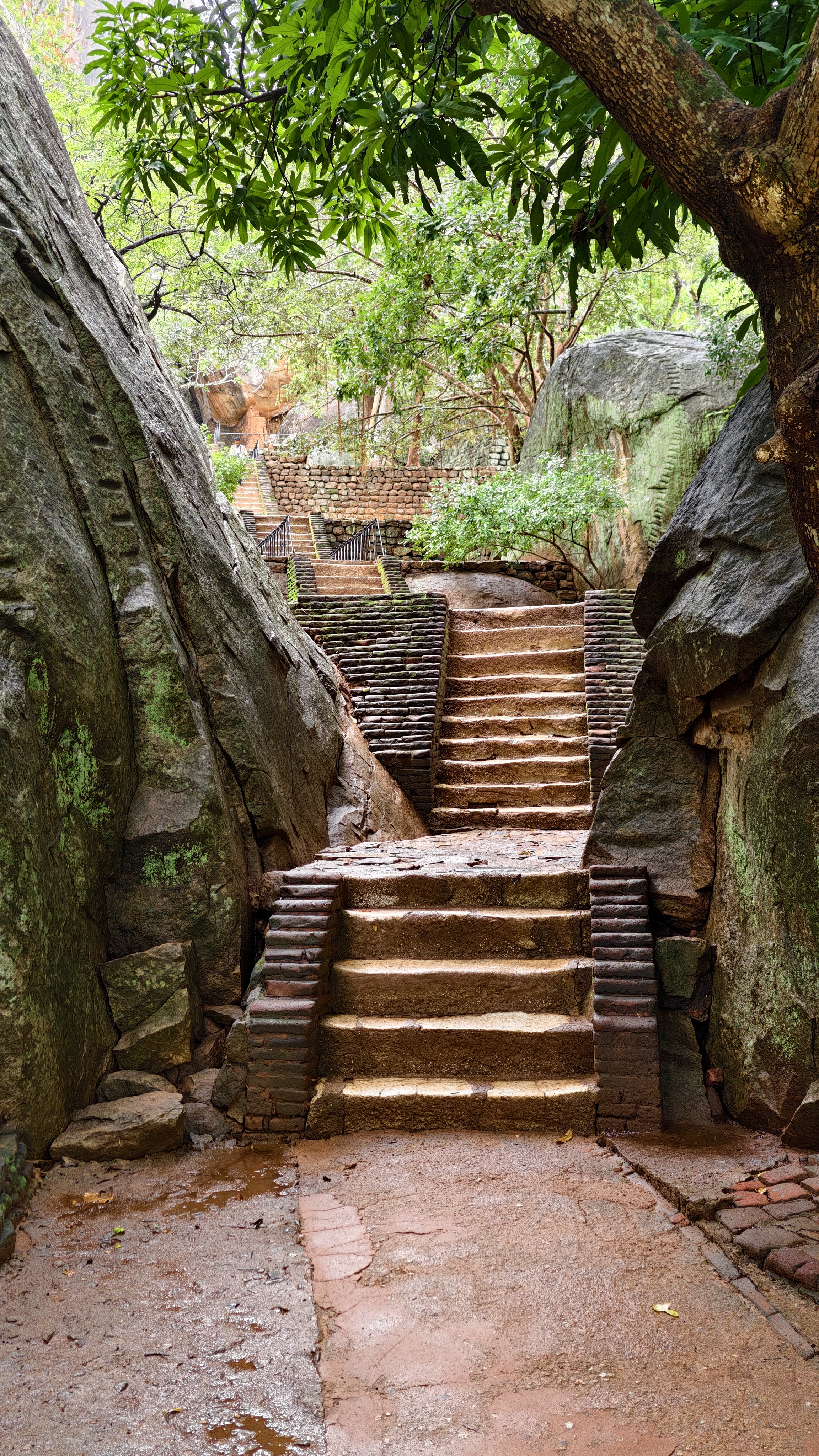 Шри-Ланка, лучшие места и скрытые жемчужины острова (22/60)