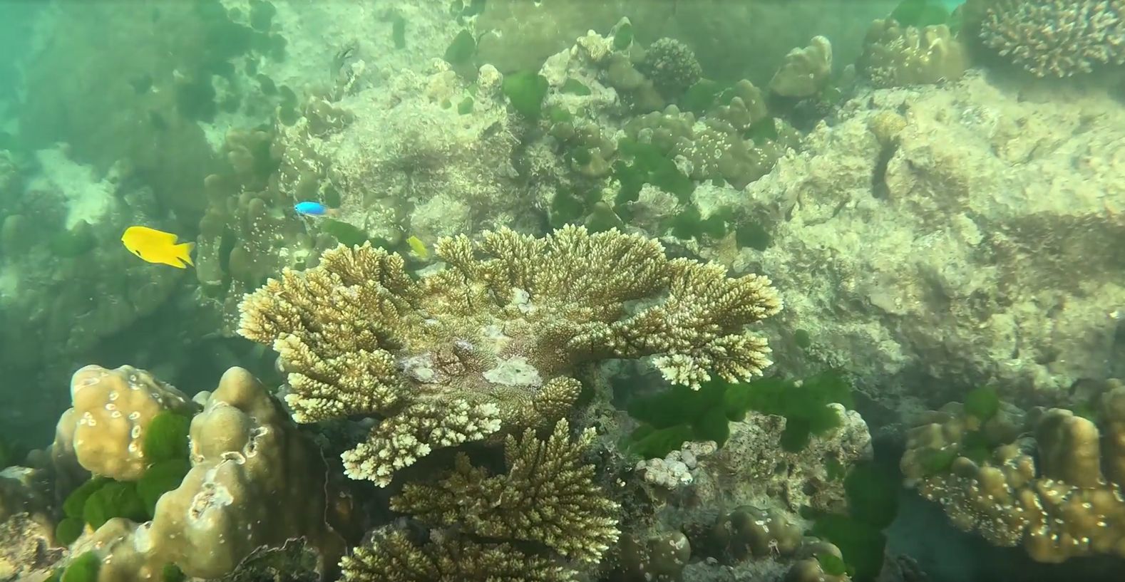 Пхукет, Пхи-Пхи и Краби под парусами (6/50)