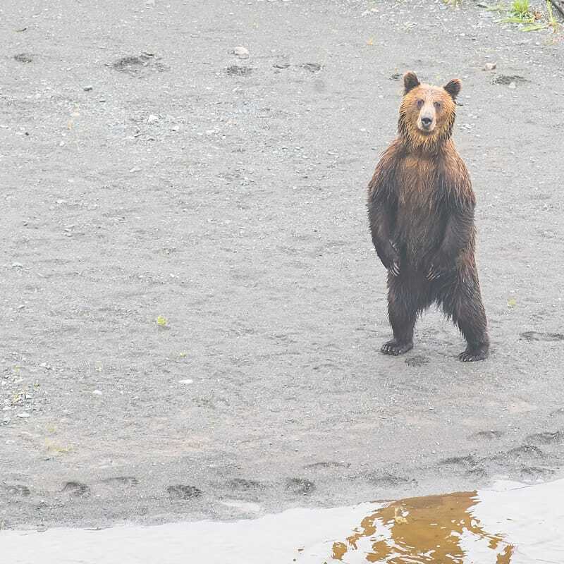Все краски Сахалина: мысы, бухты и озёра (8/31)