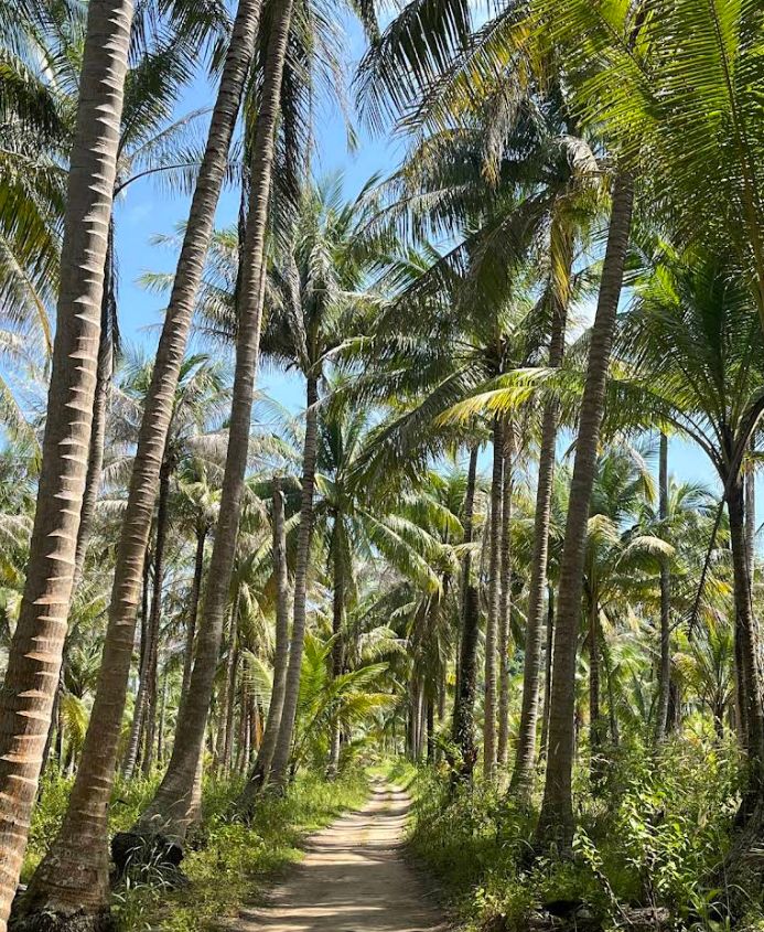 Пхукет, Пхи-Пхи и Краби под парусами (13/50)