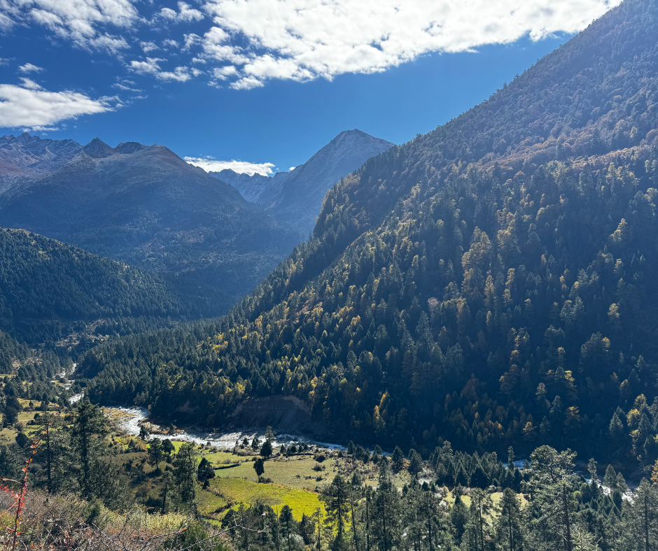 В сердце Высокогорного Бутана: Фестиваль в Лайа (7/13)