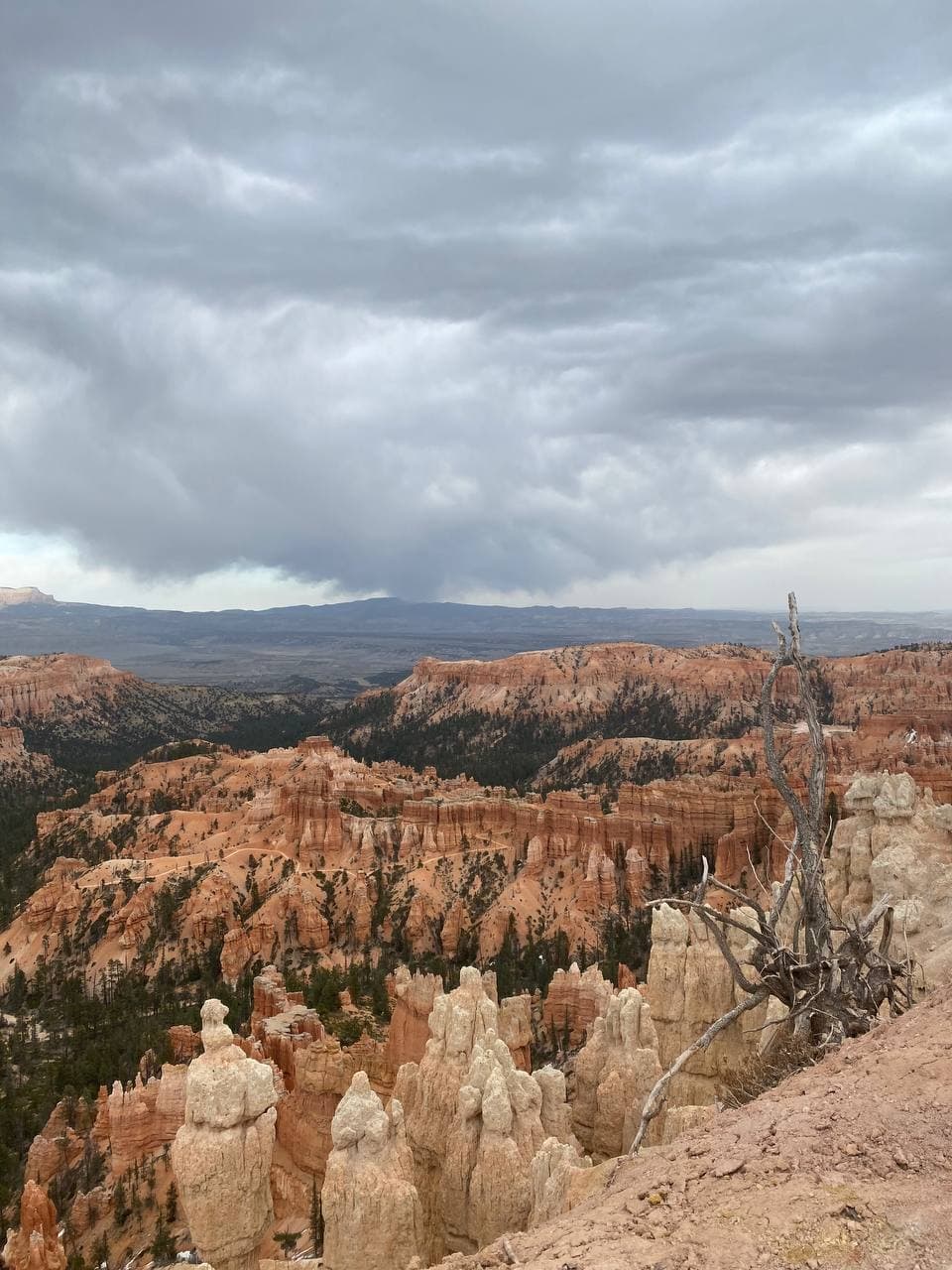 Запад Сша Куда Заводят Мечты (23/63)