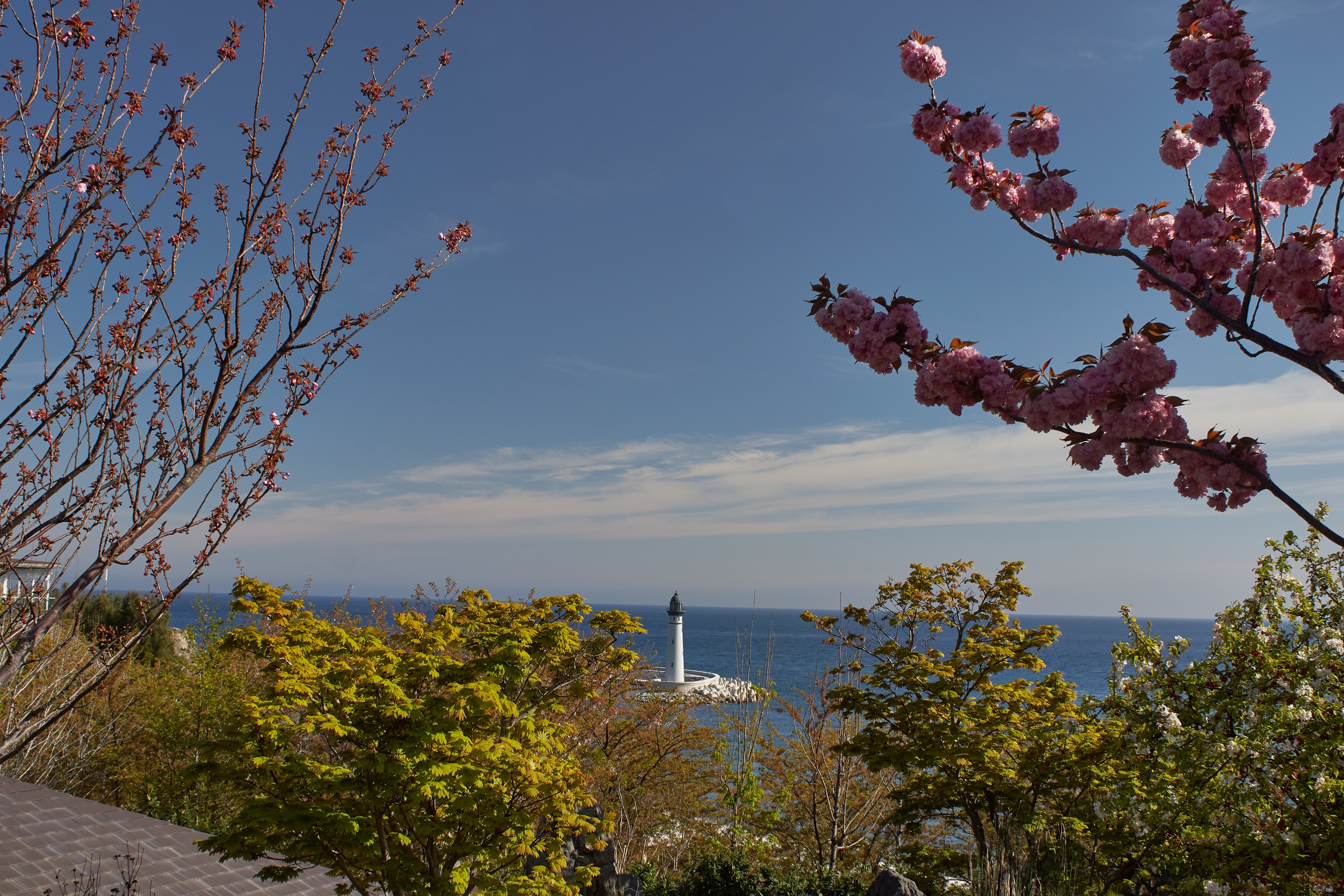 Южный берег Крыма.