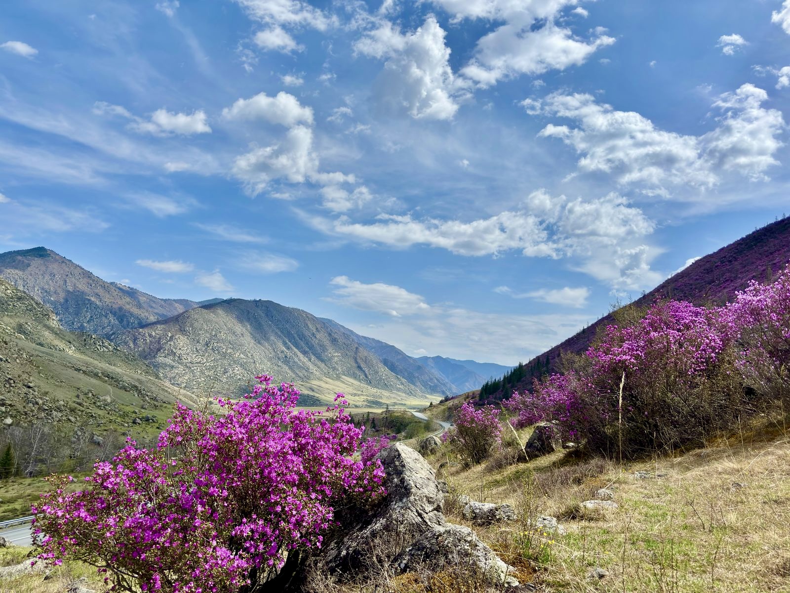 Весенний Алтай: Этно-Фото тур, Лучшие места, Все Включено, Комфорт (13/67)